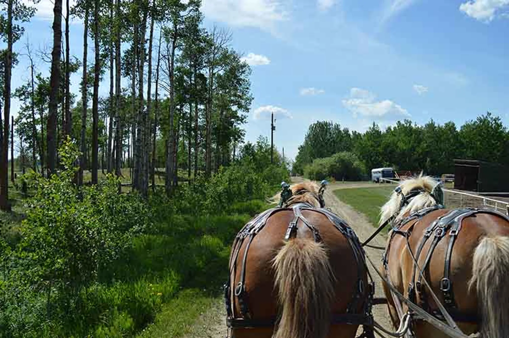 Family Fun Day at Birch Bay Ranch