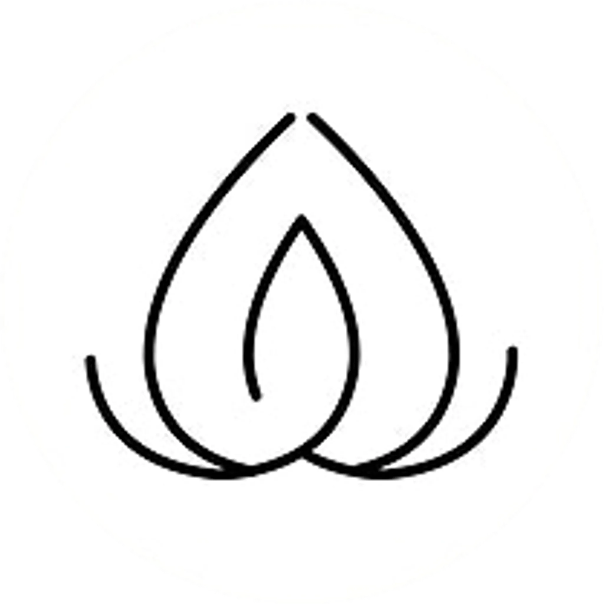 C3 Physio & Yoga Services