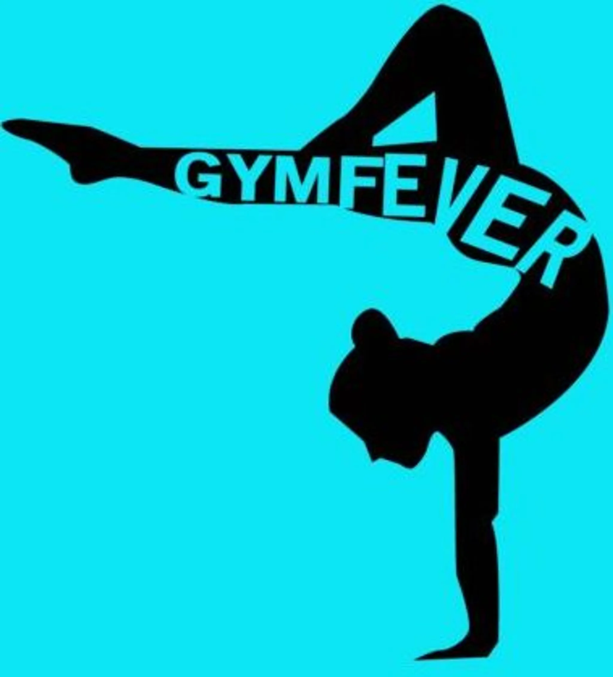 Gymfever Gymnastics