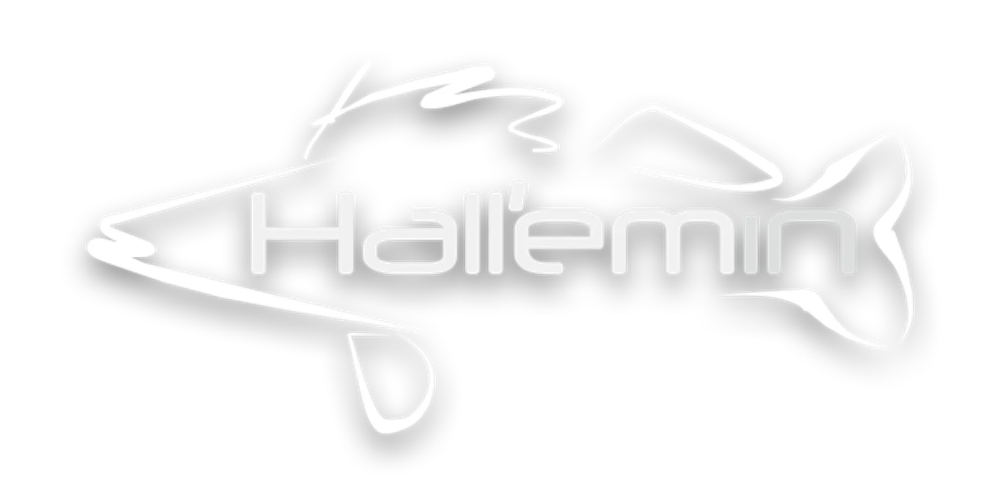 Hallem in sportfishing