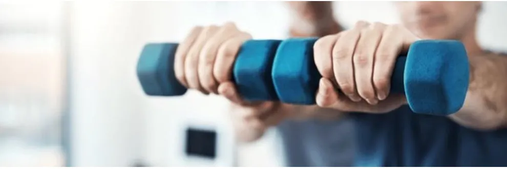 The Lifestyle Shoulder - Online Program The Lifestyle Shoulder - Online Program