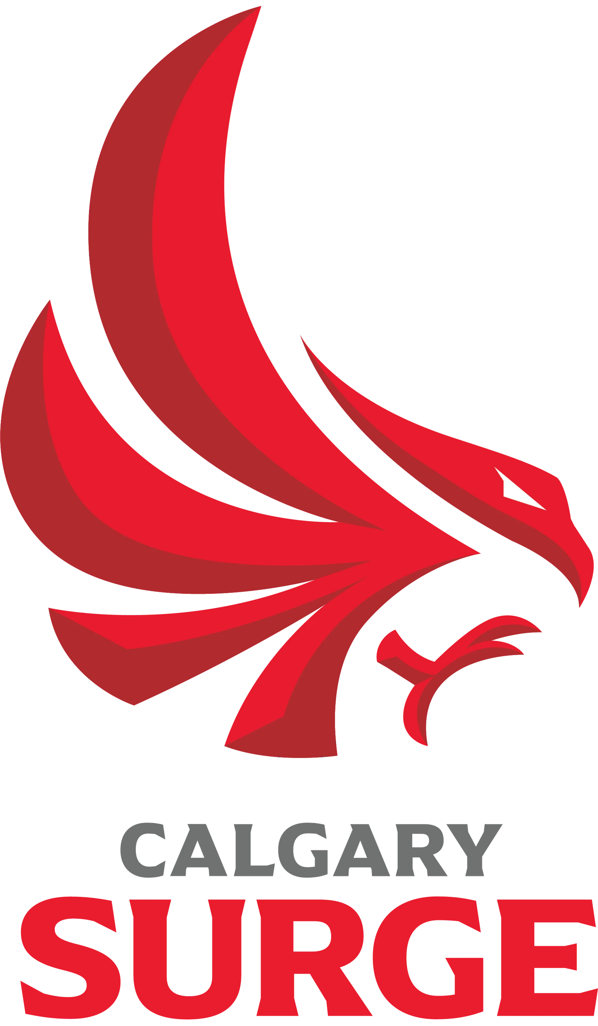 Vision Basketball Academy