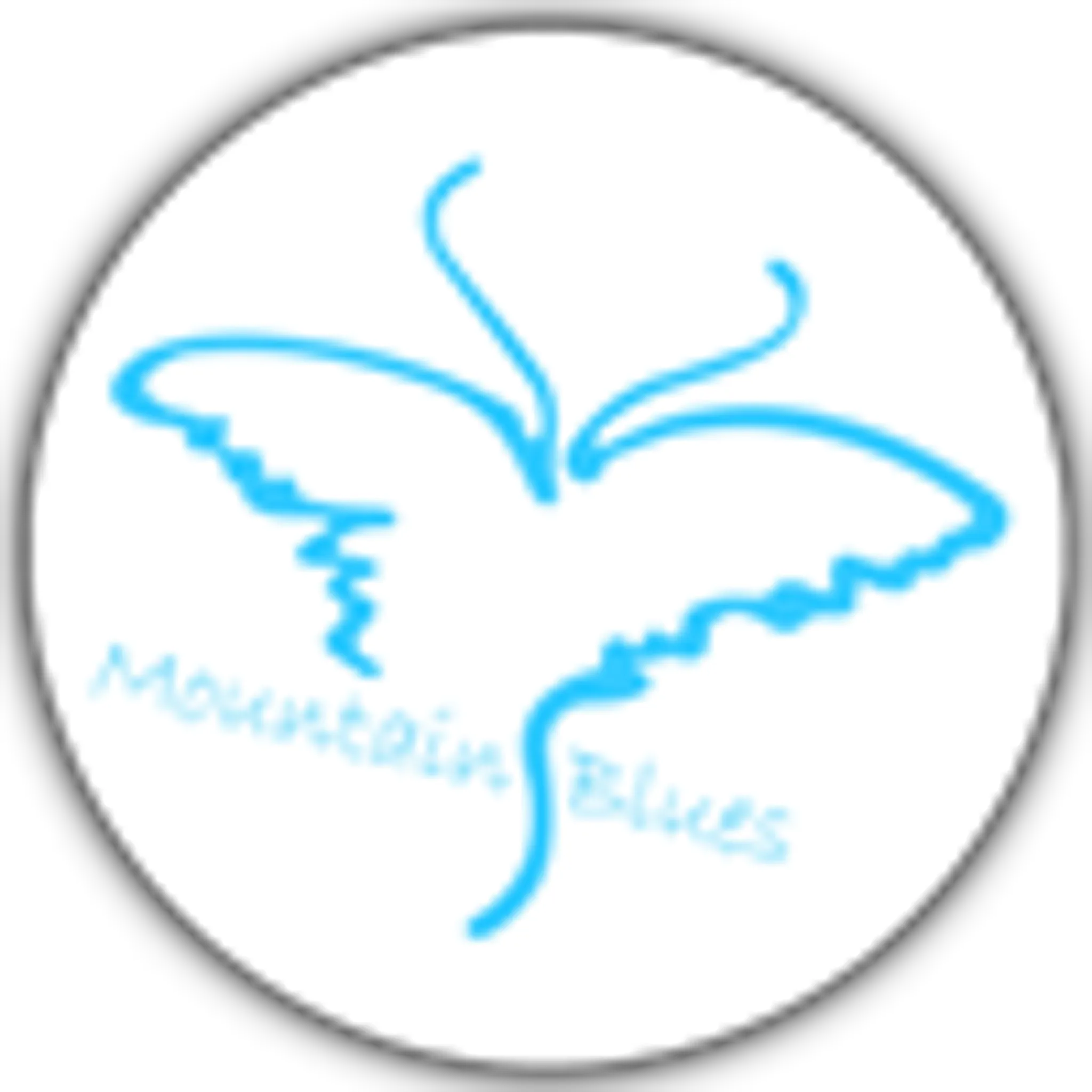 Samford Netball Club