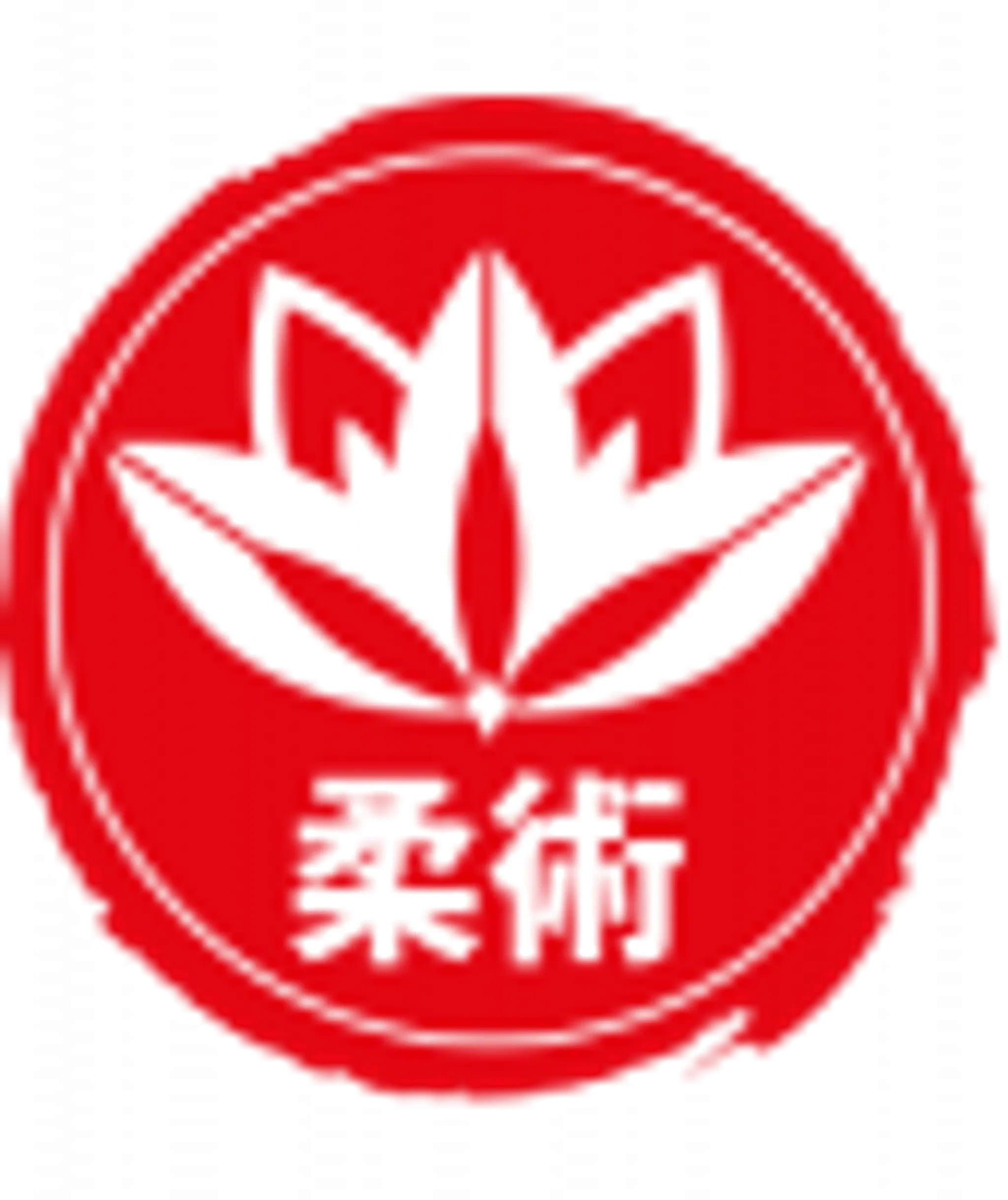 Coppa Brazilian Jiu Jitsu School