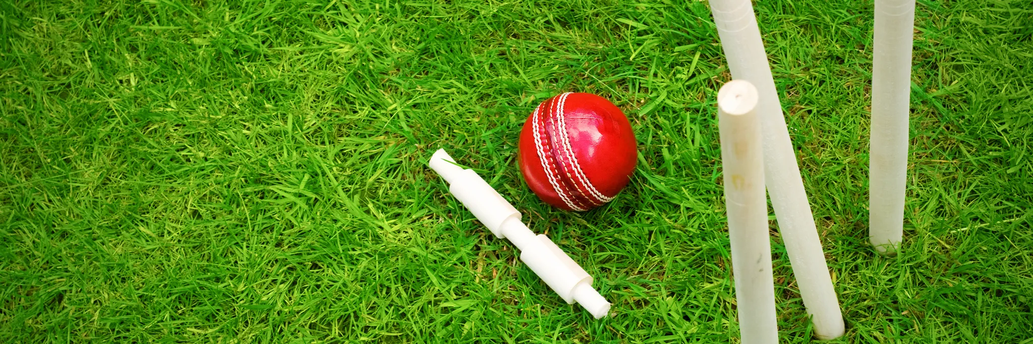 Pro Performance Cricket Sydney