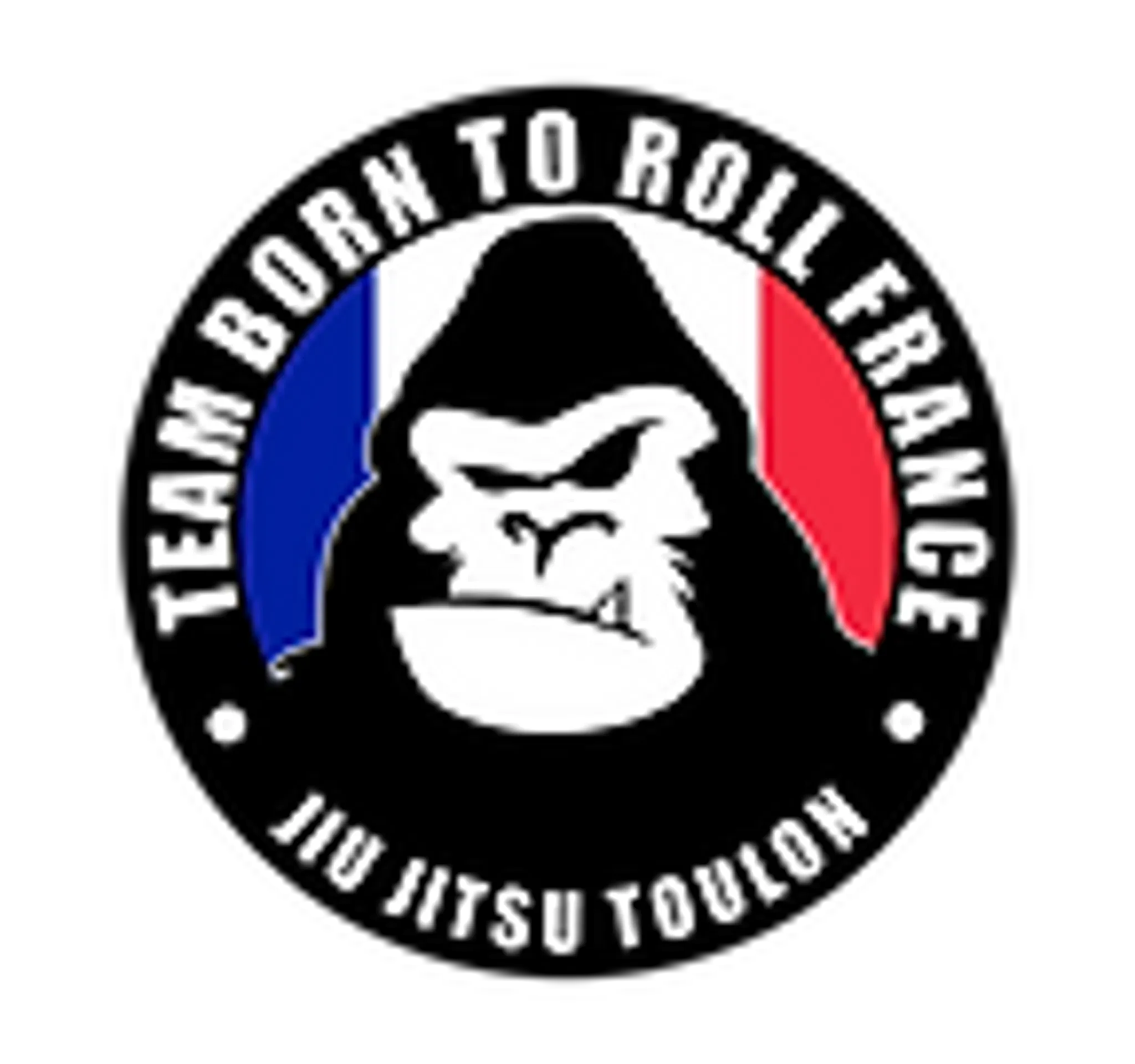Jjb Toulon | Jiu Jitsu Brazilian Toulon | Team Btr