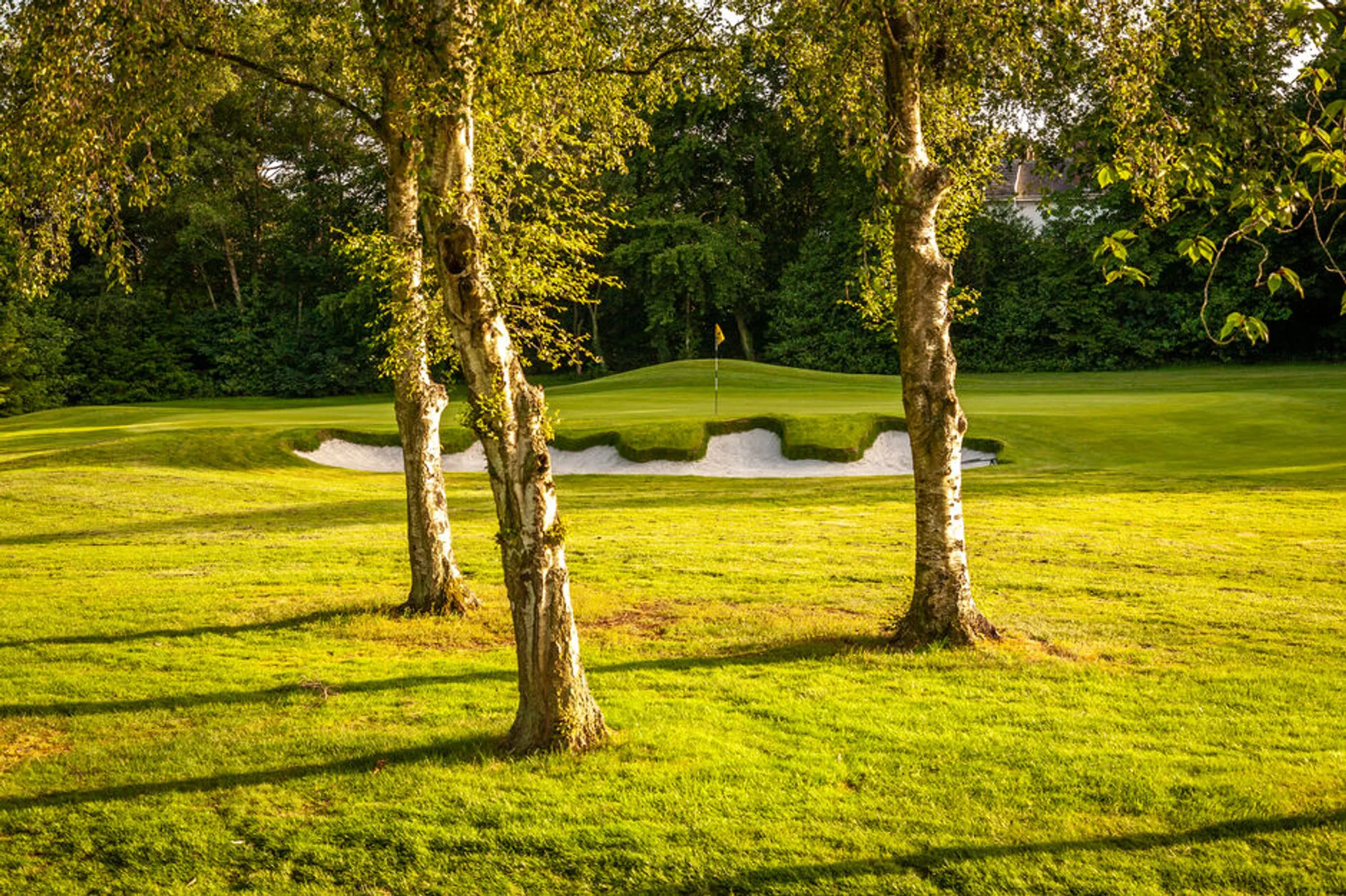 Men's Pairs Open 2024