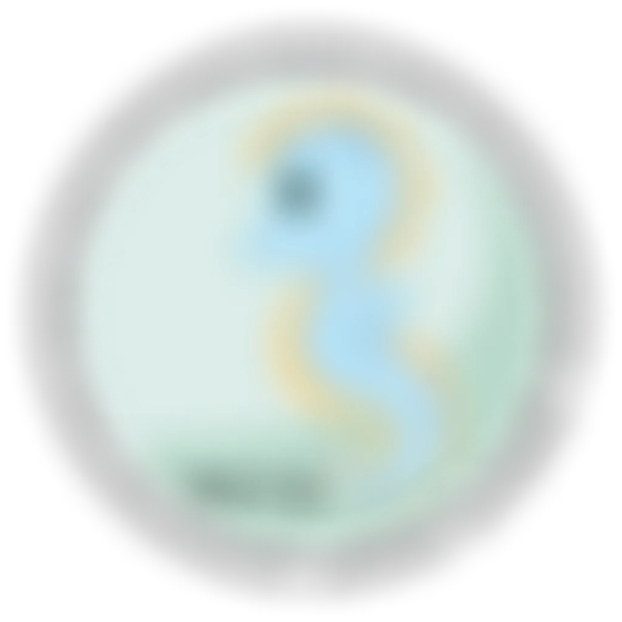 White Rock Gymnastics Ocean Side