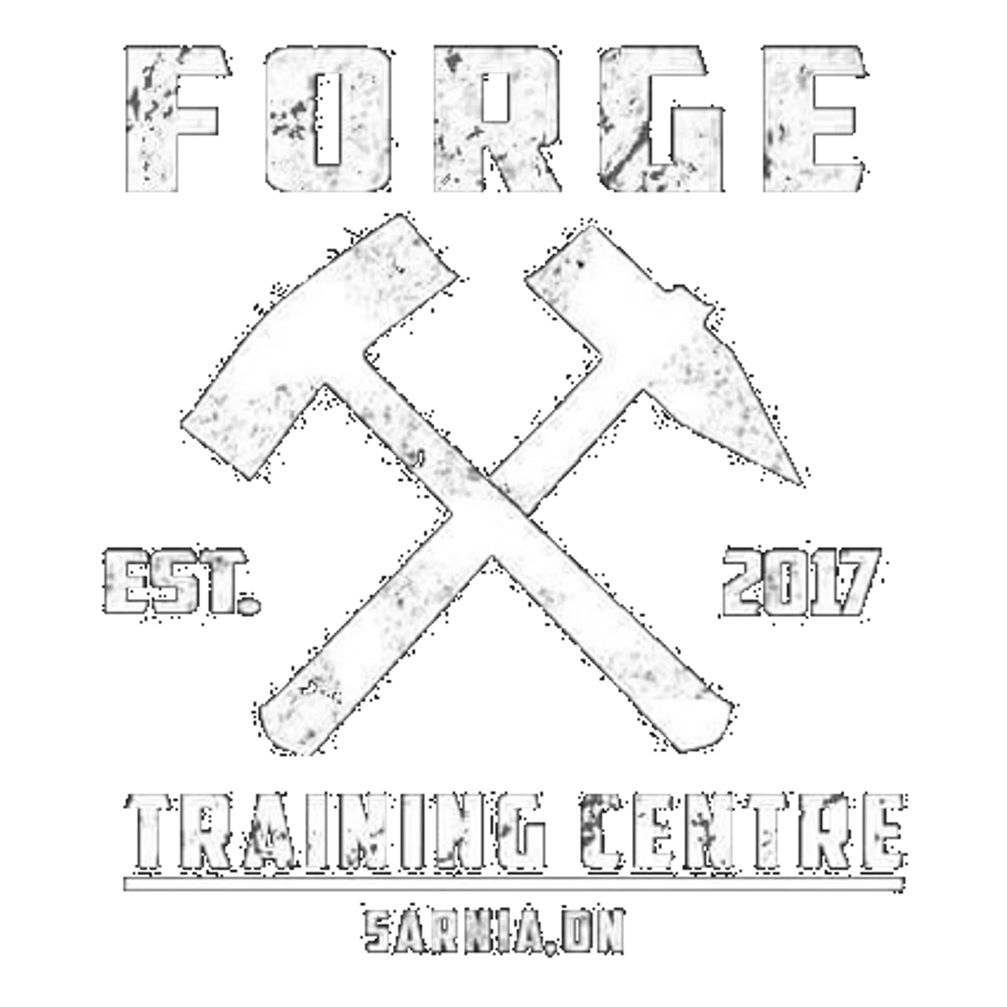 Forge Training Centre Jiu Jitsu and Kickboxing