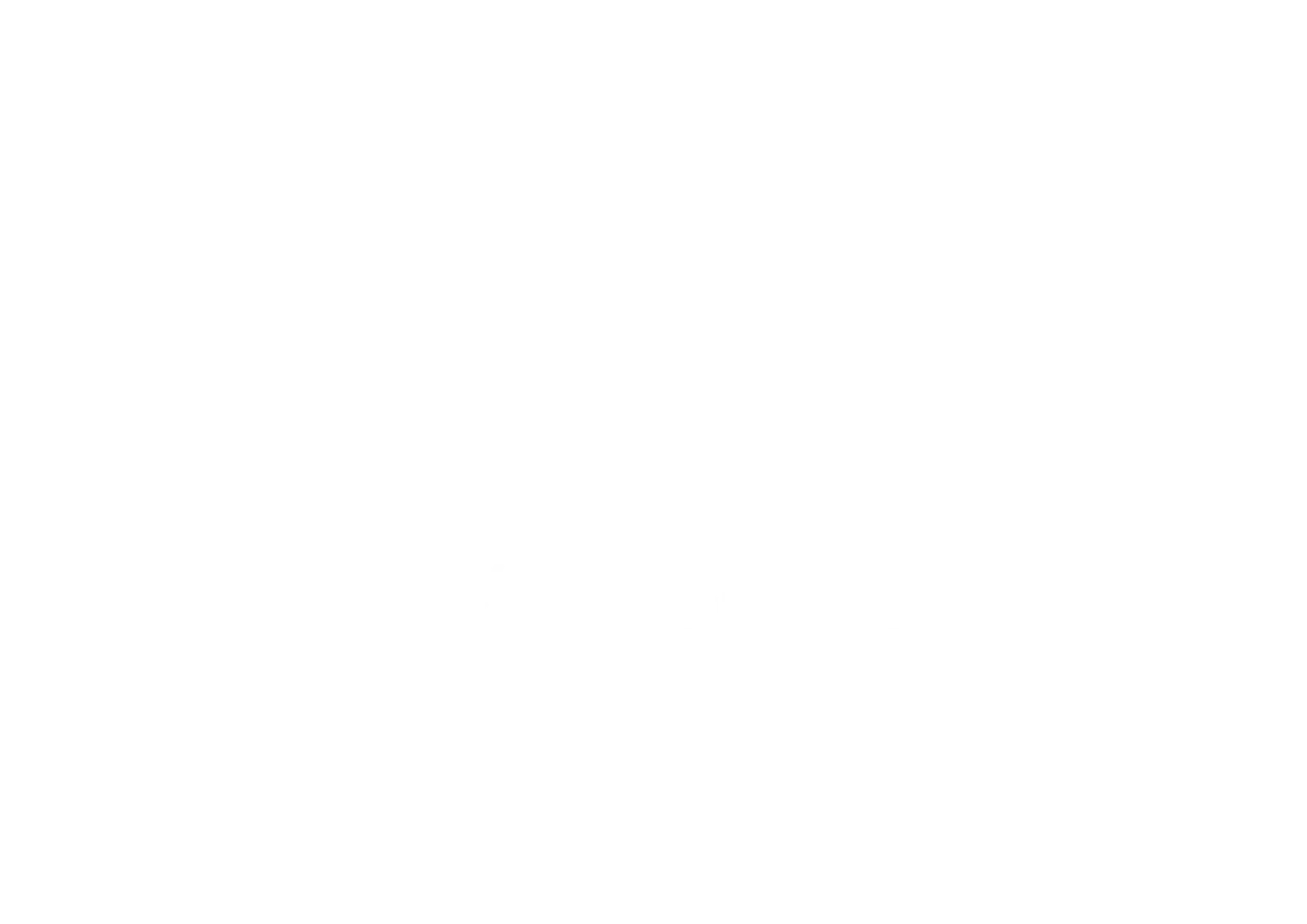 VPunch Gym