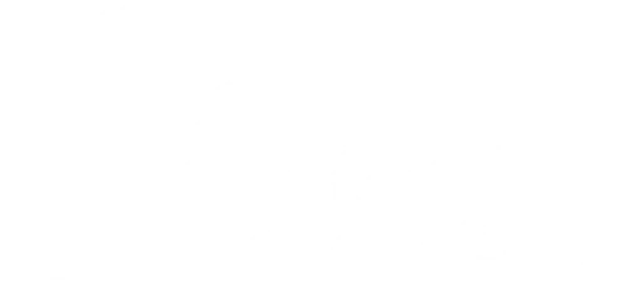 The Dance Workshop