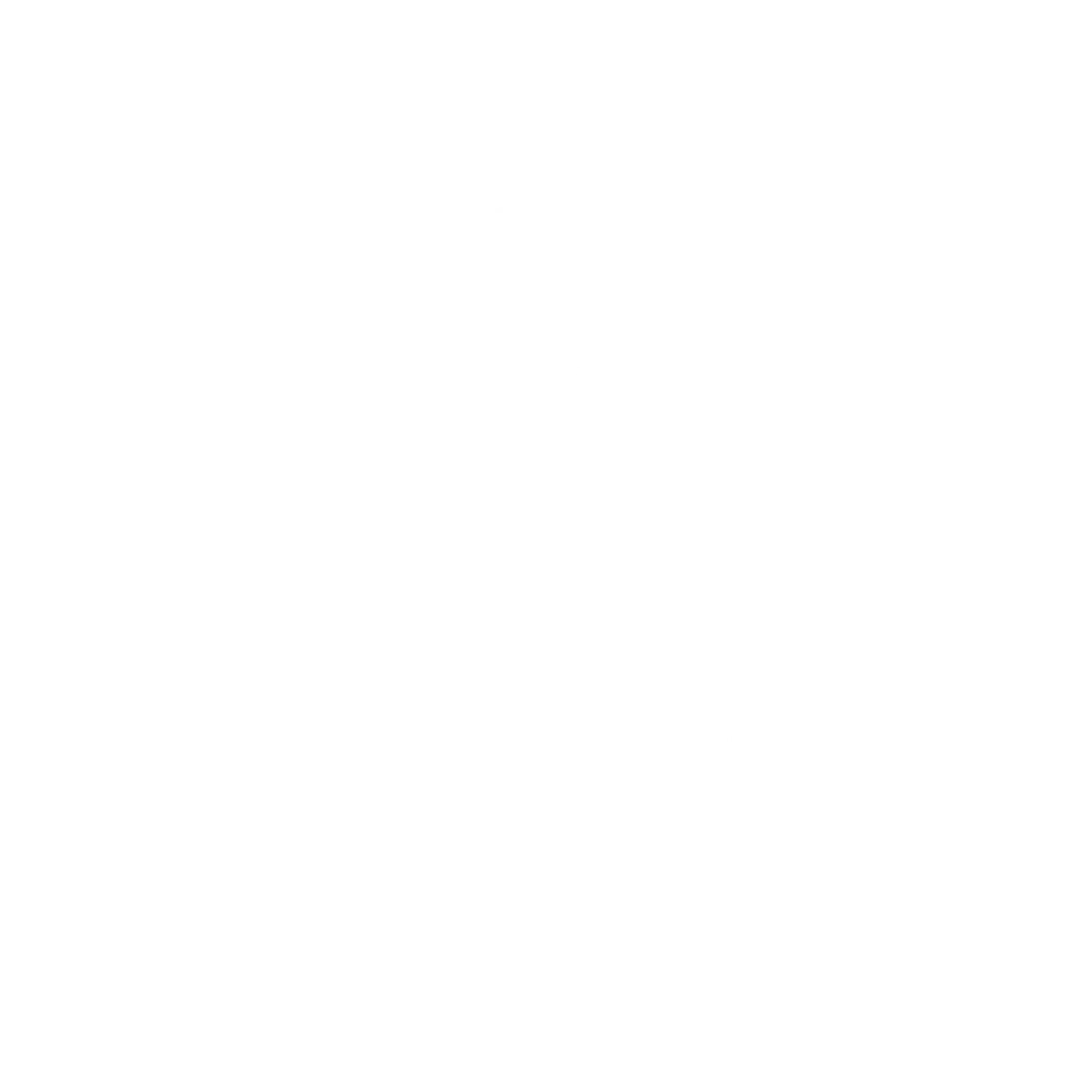Southern Academy of Sport