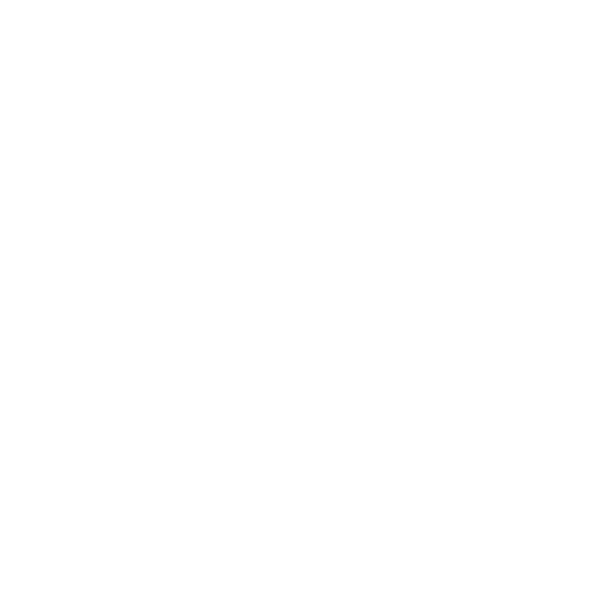 Sri Chinmoy Marathon Team