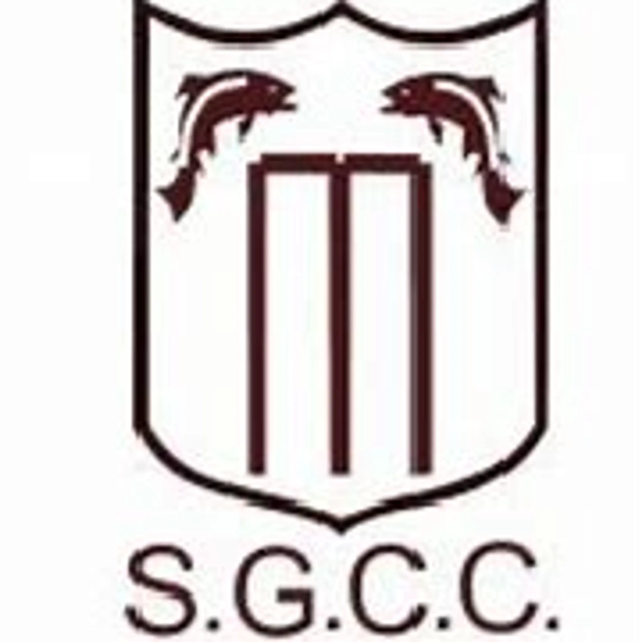 Stoke Gabriel Cricket Club