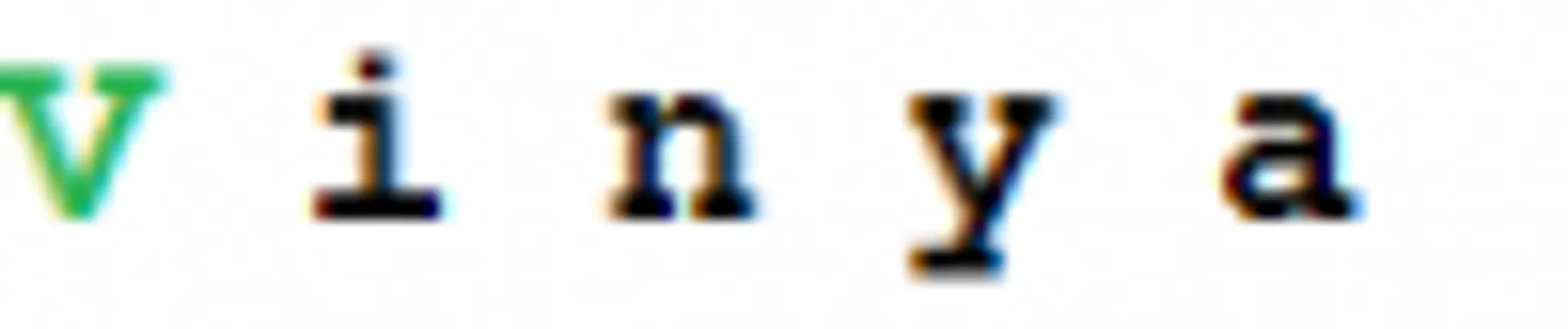 Vinya Yoga Ayurveda Ashram