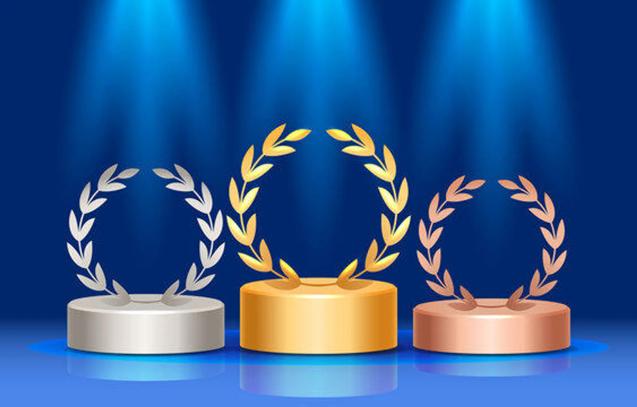 French Federation Gymnastics Departmental Committee Gym De Maine Et Loire