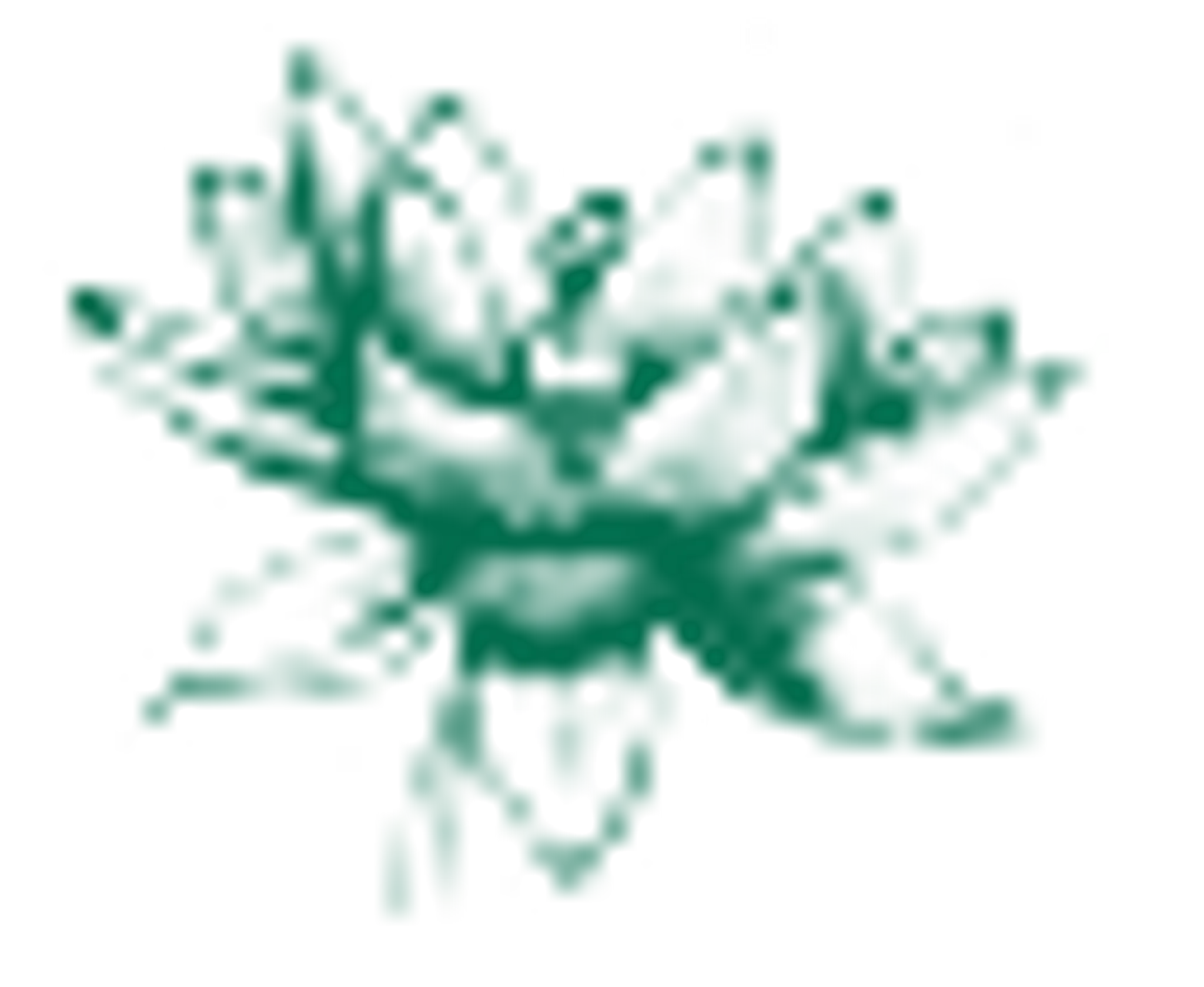 Divine Jewel Yoga & Meditation