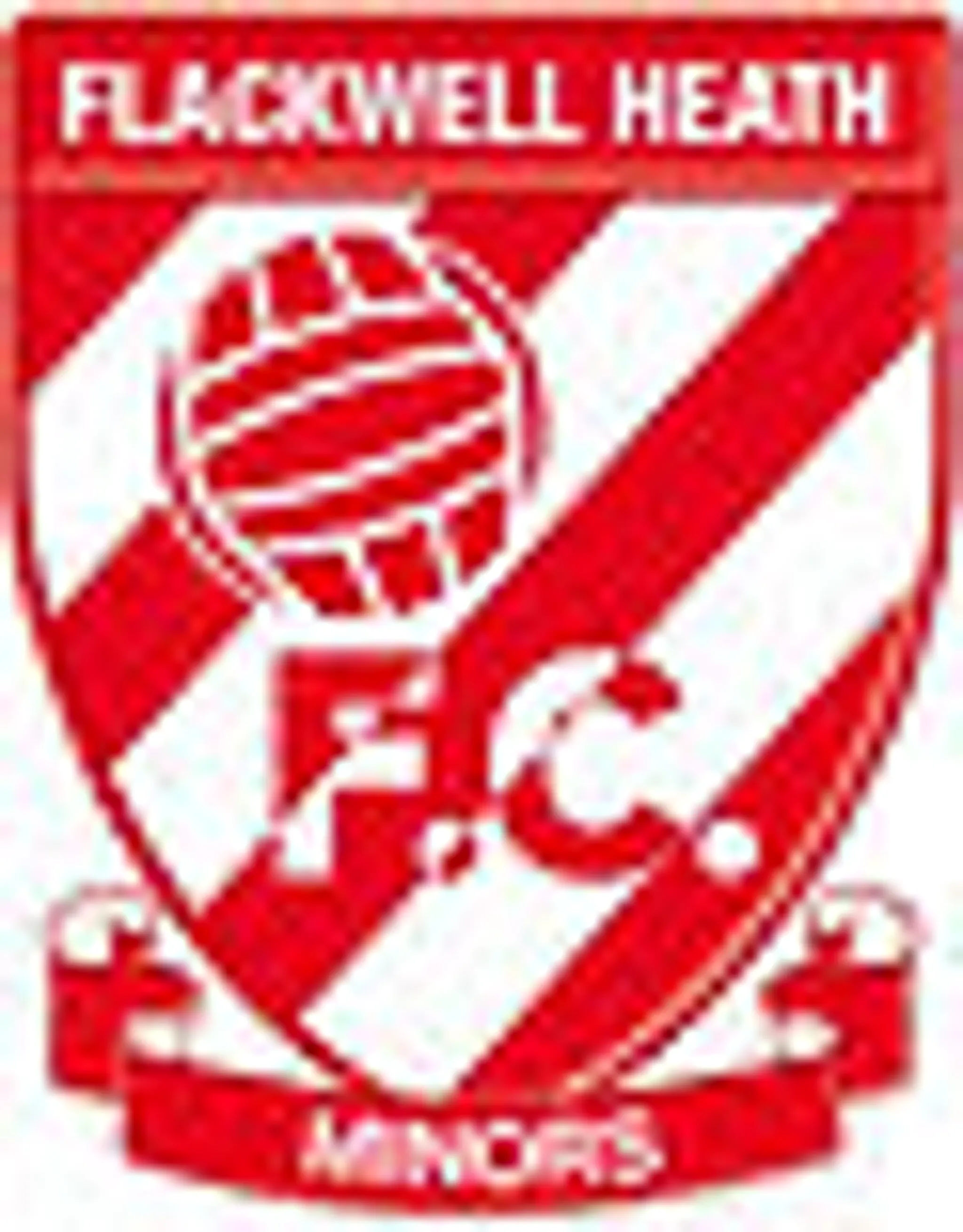 Flackwell Heath Minors Football Club