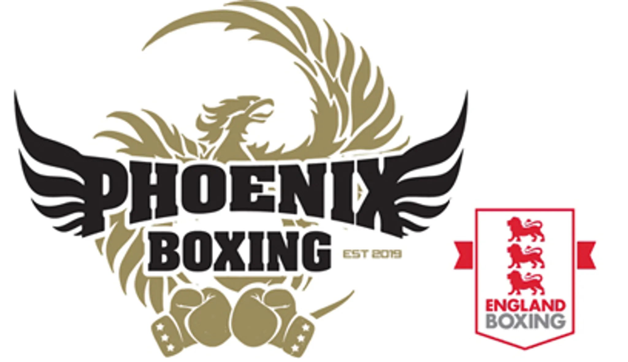 Phoenix Boxing Academy