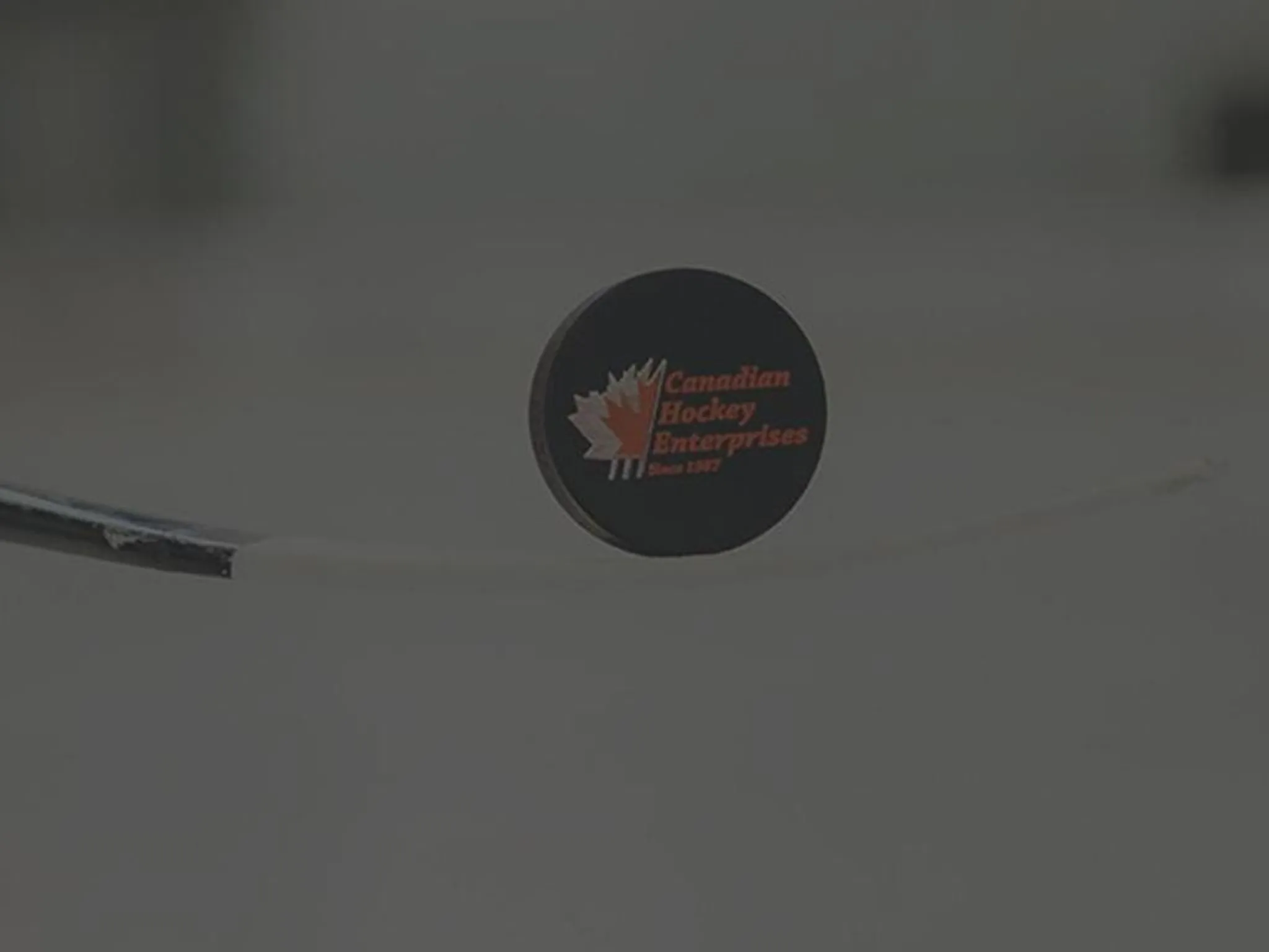 Canadian Hockey Enterprises