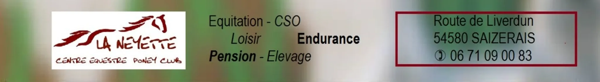 Concours de Hunter à Saizerais