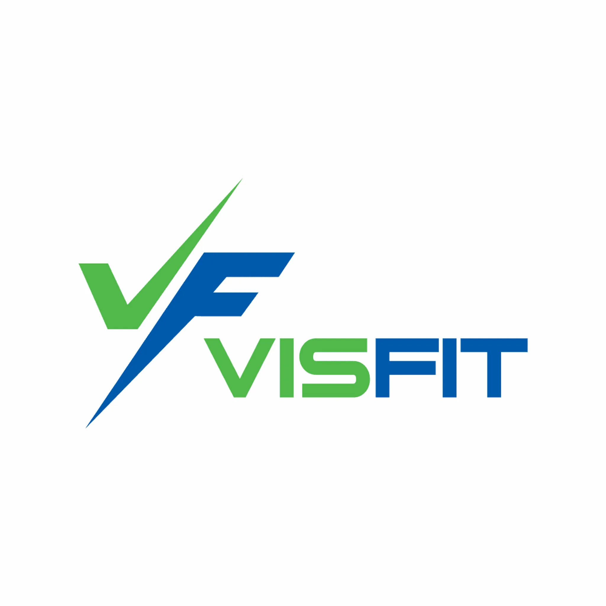 Visfit