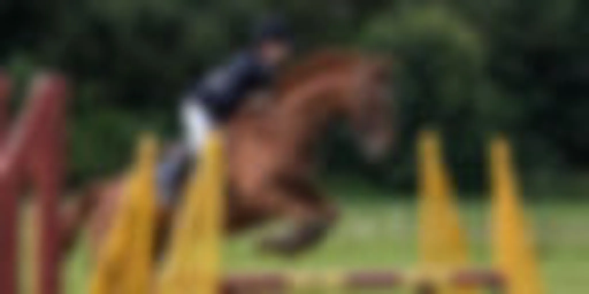 Amport Riding School