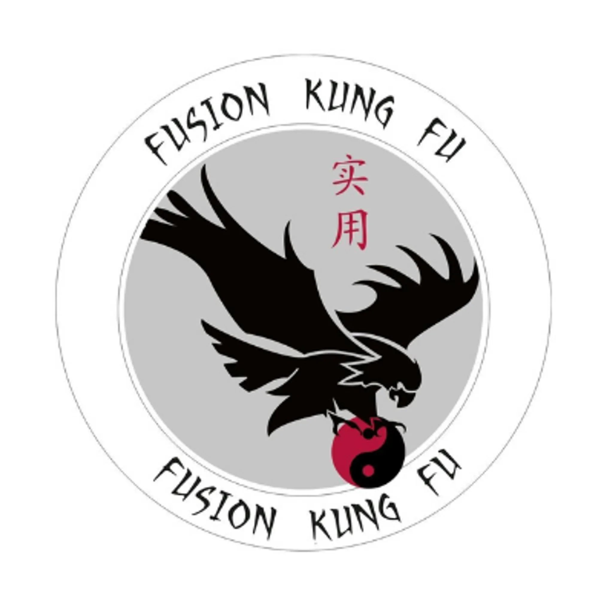 Fusion Kung Fu