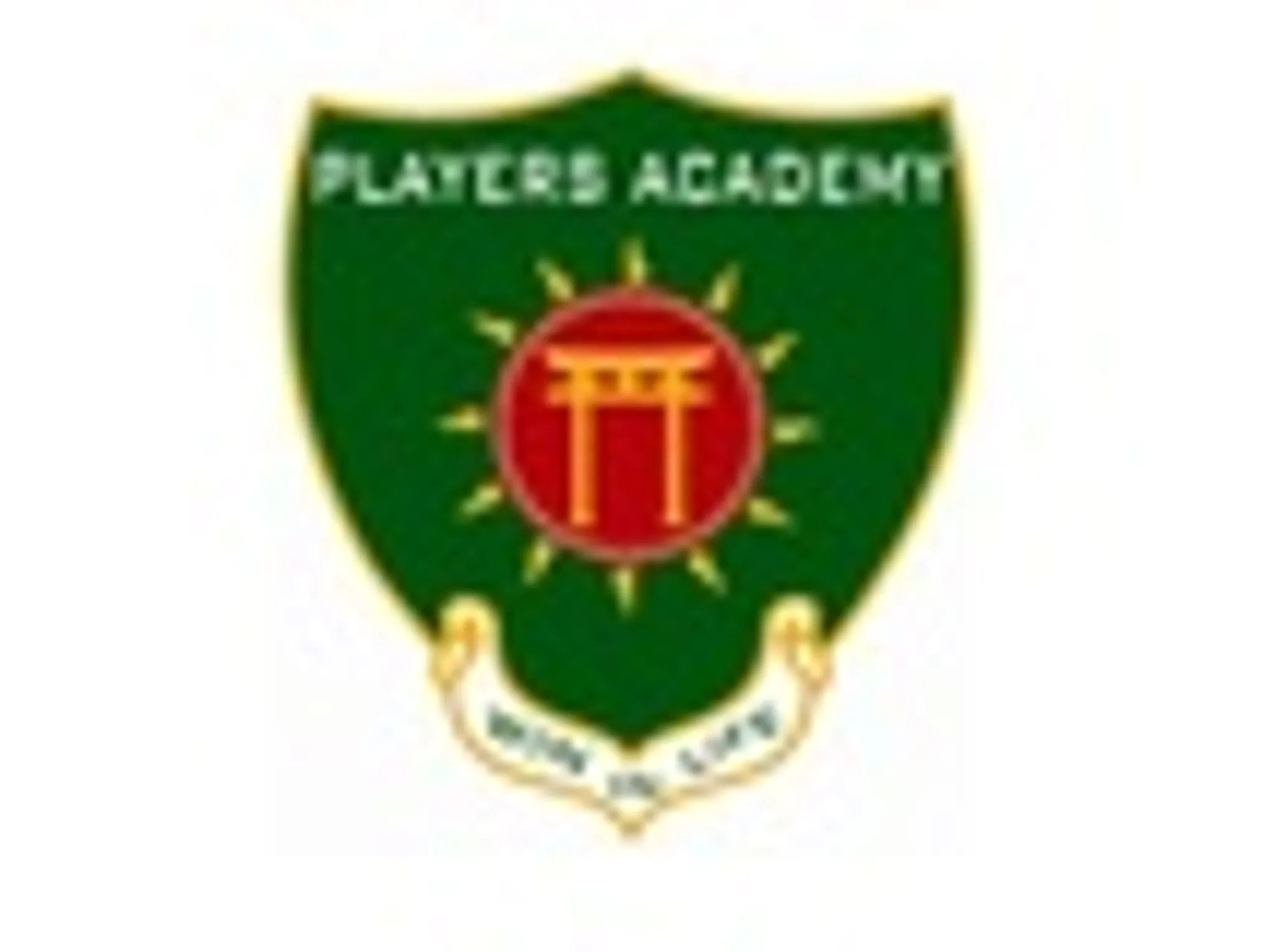 PLAYERS CRICKET ACADEMY