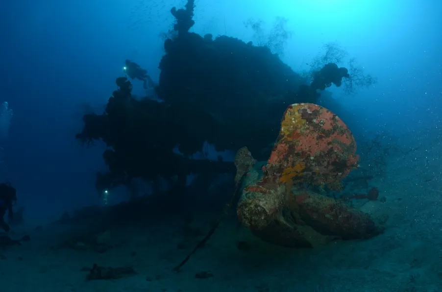 Actaeon Islands Dive