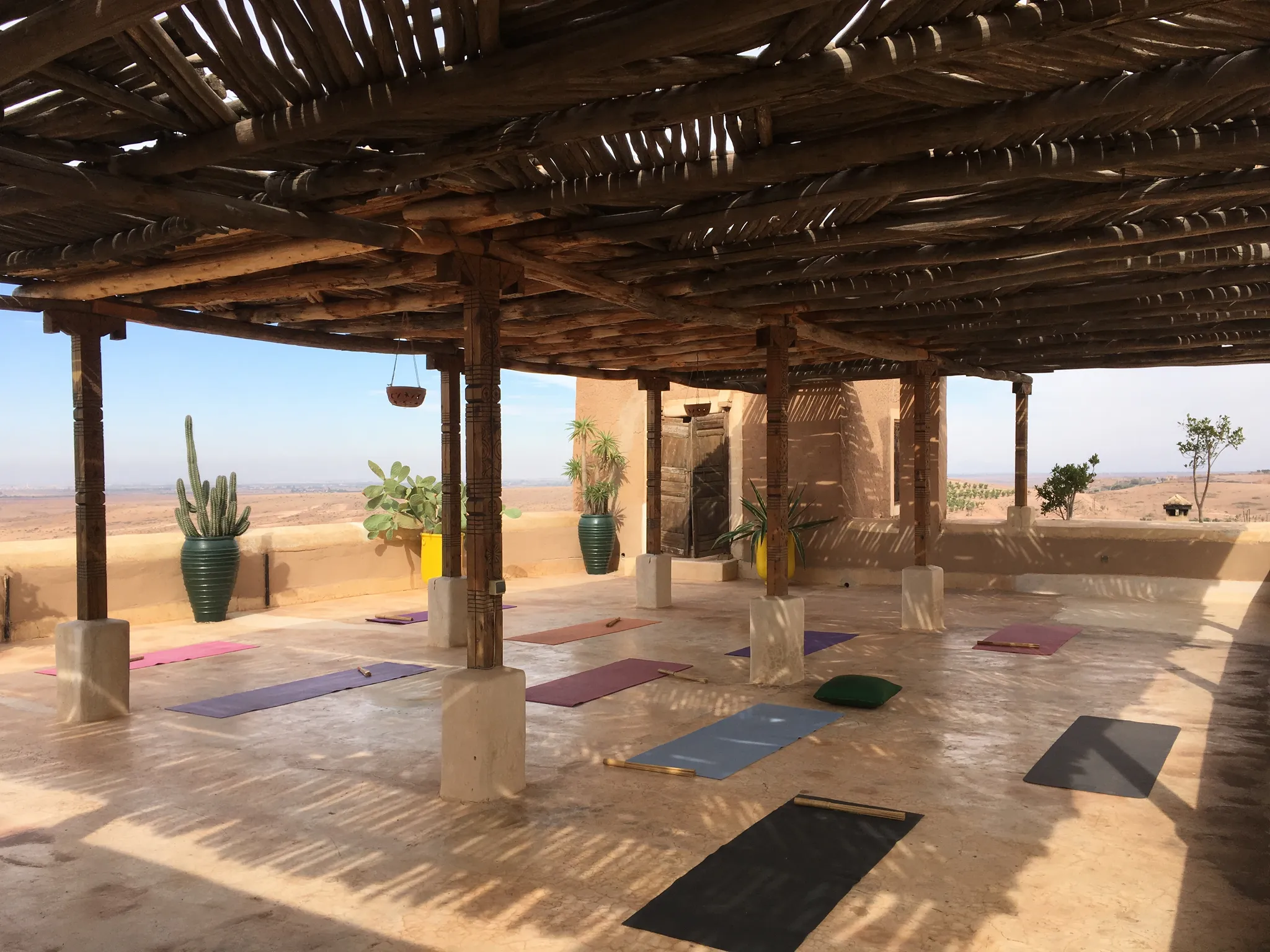 Tai Chi Qigong in Hitchin and Online