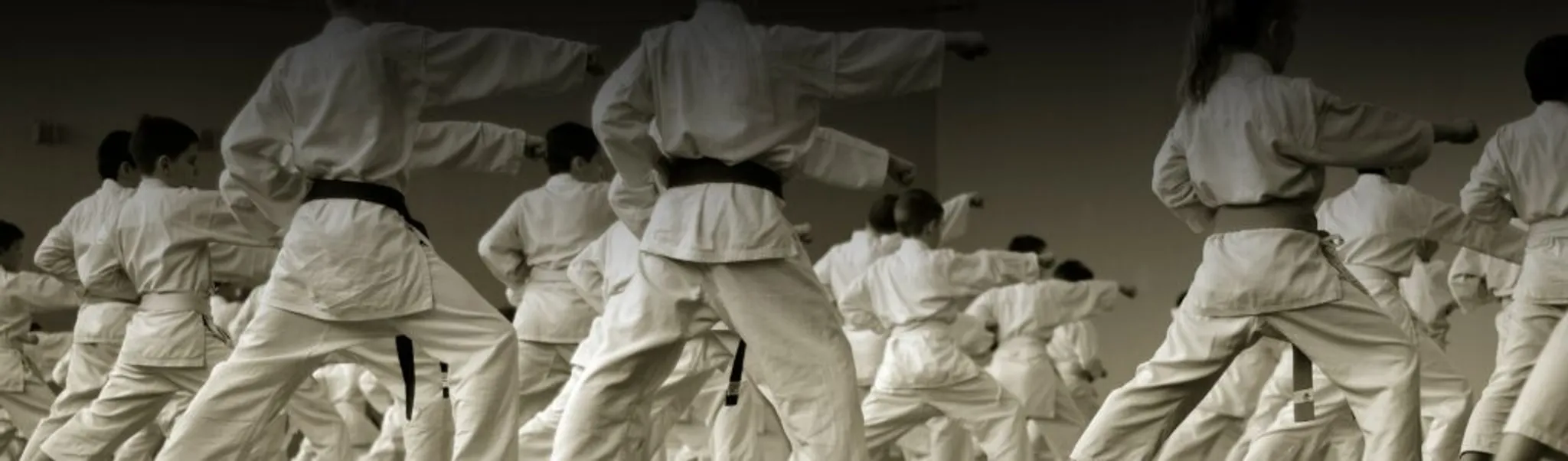 11th GKR Karate International World Cup