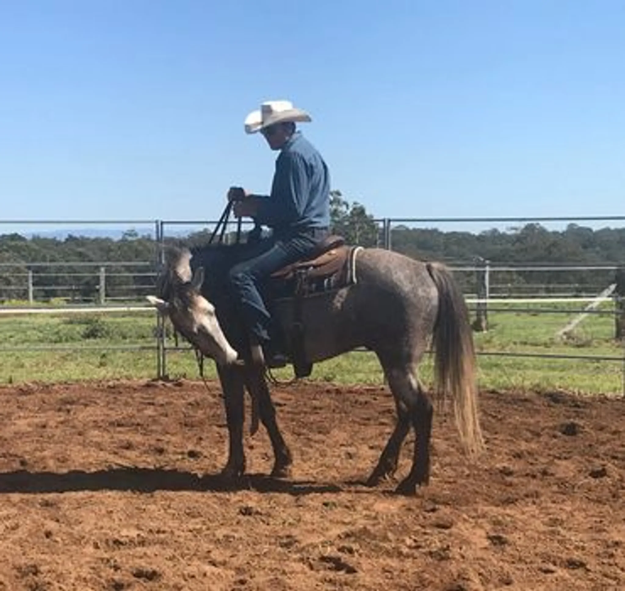 Syd Thew Horsemanship