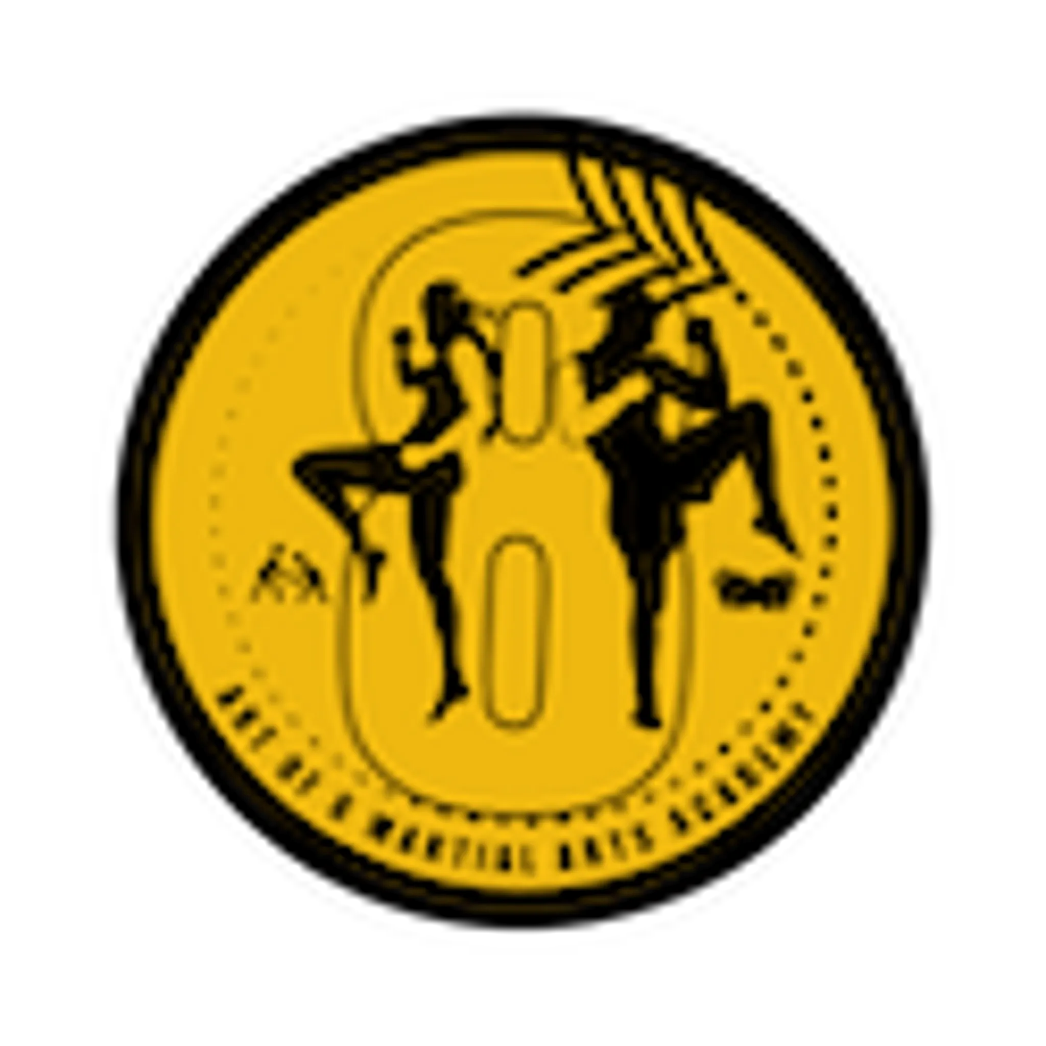 Art Of 8 Martial Arts Academy