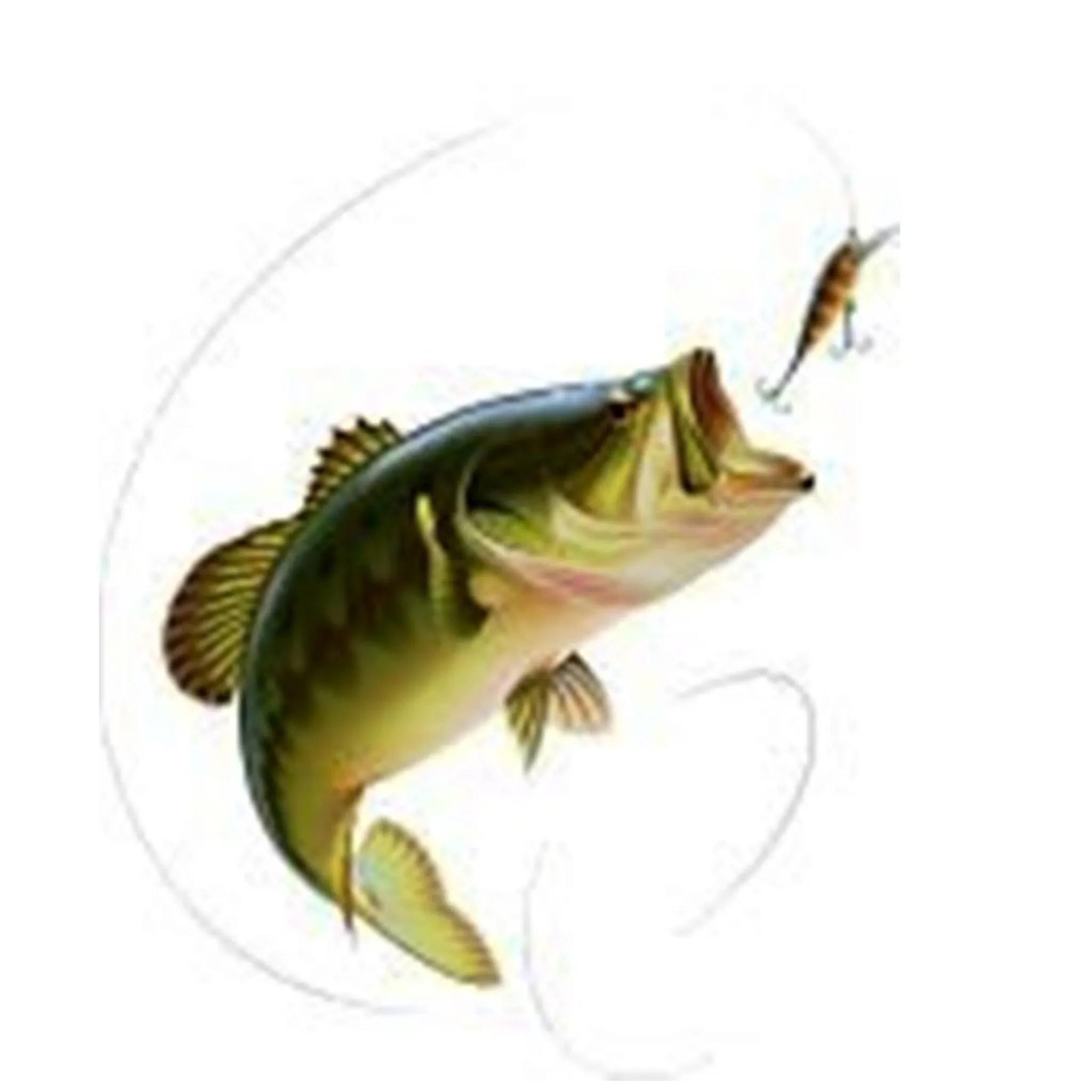 Benalla Angling Club 