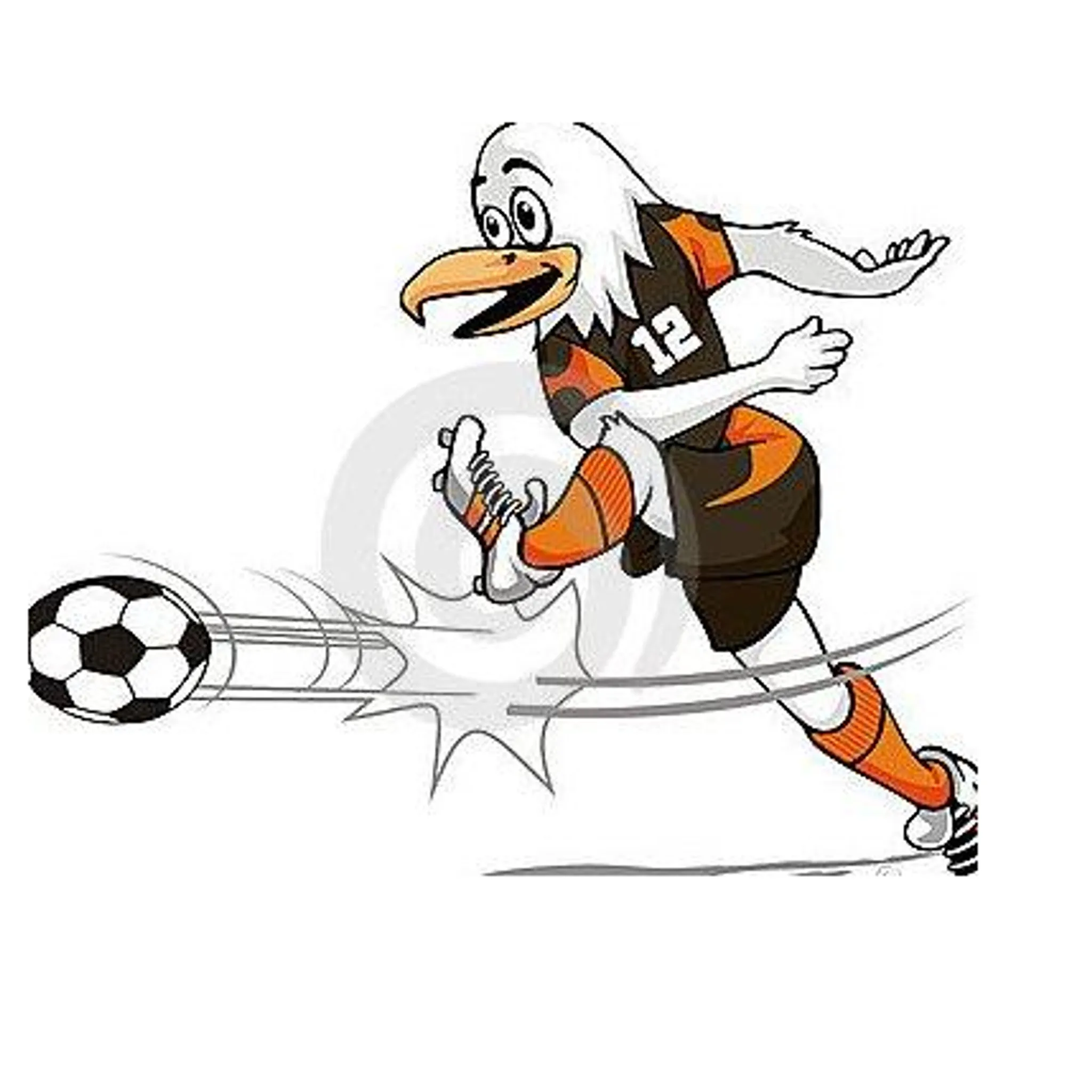 Stormbirds Soccer Club