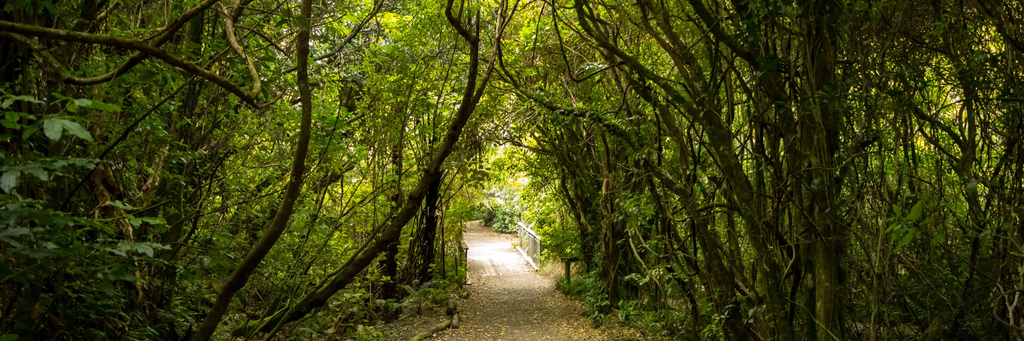 Emerald – Johns Hill – Emerald 15-17km Hike