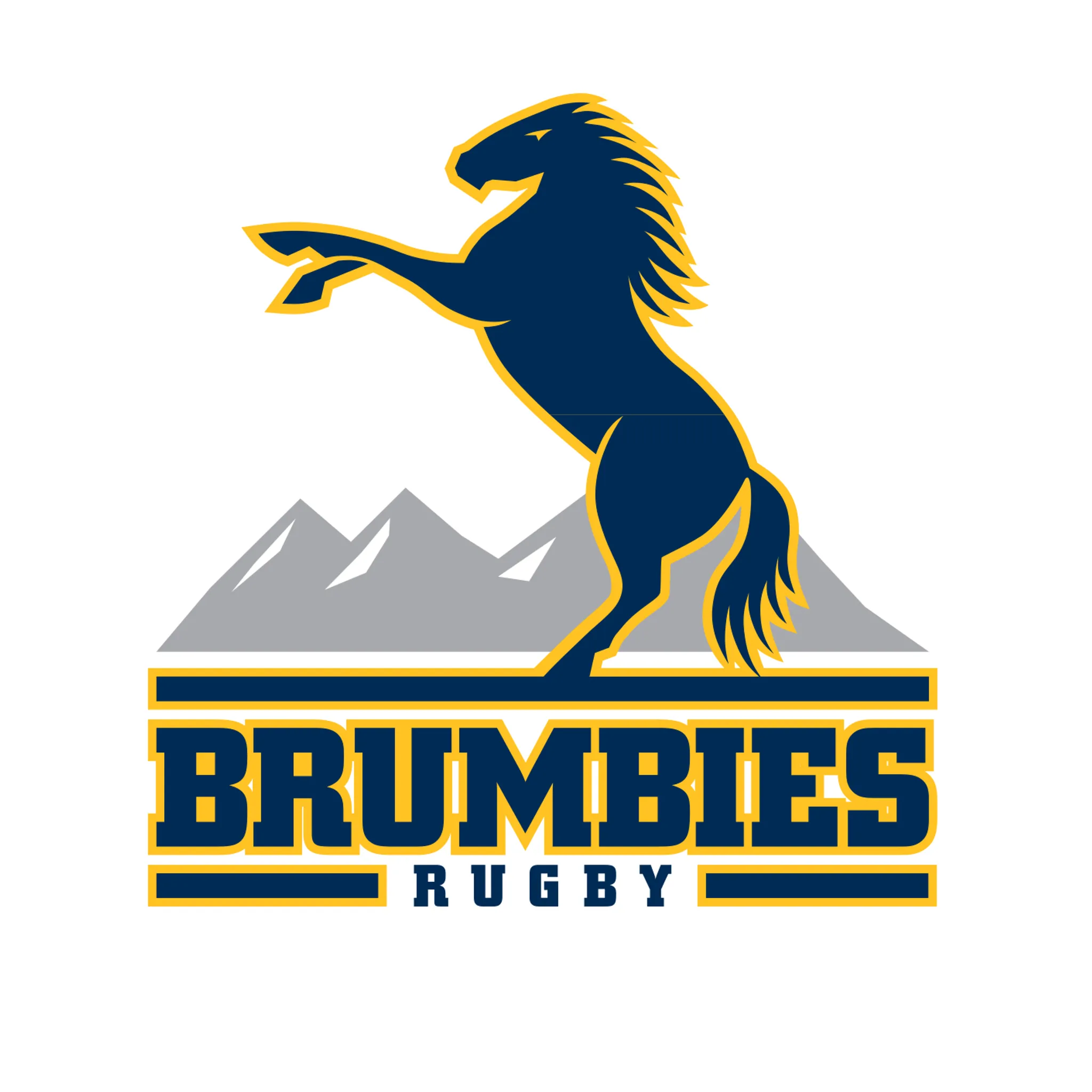 ACT & Southern NSW Rugby Union