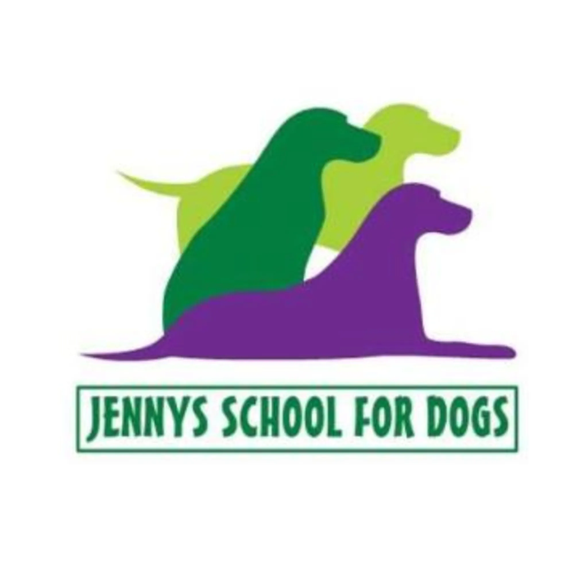 Jennys School For Dogs