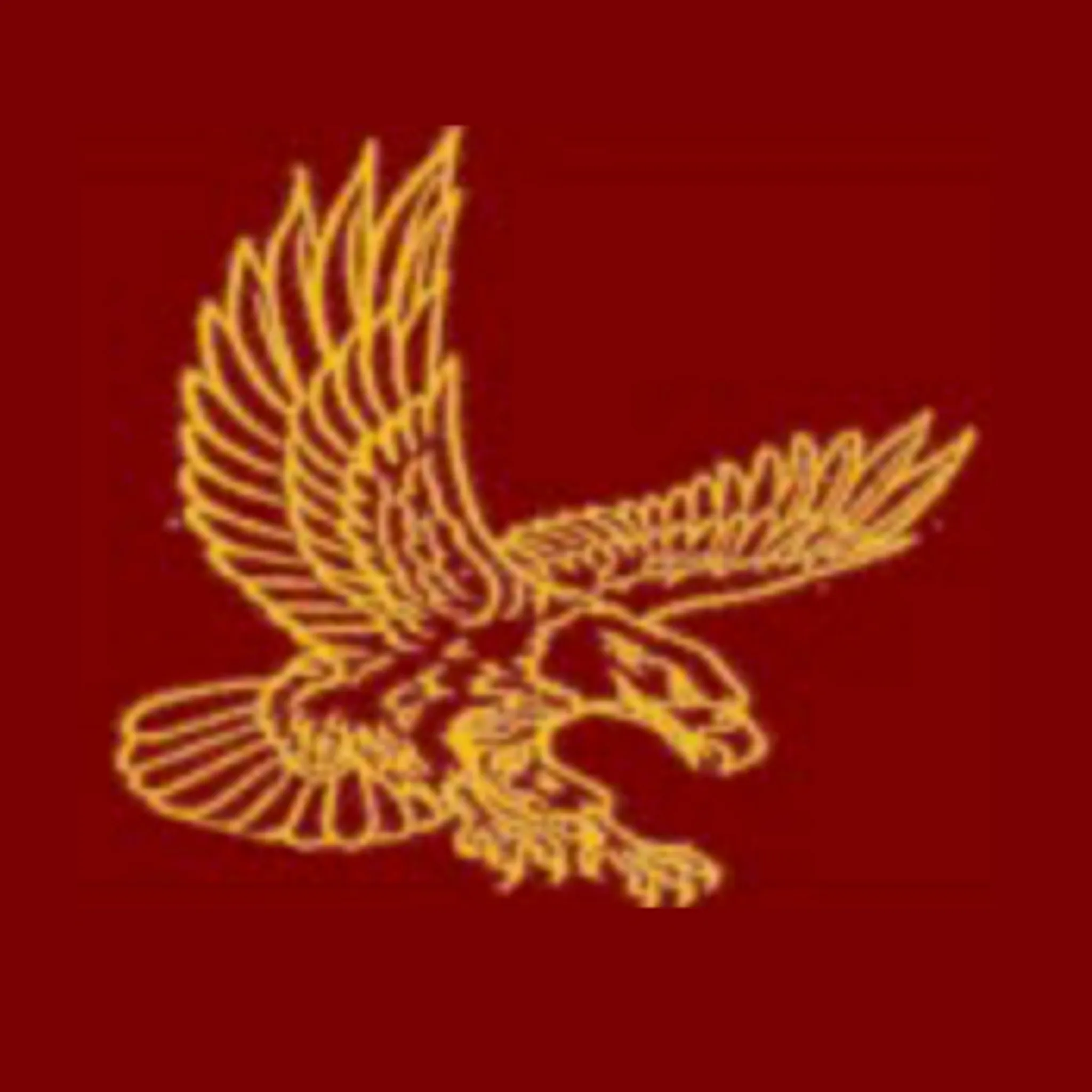 Mayfield Netball Club