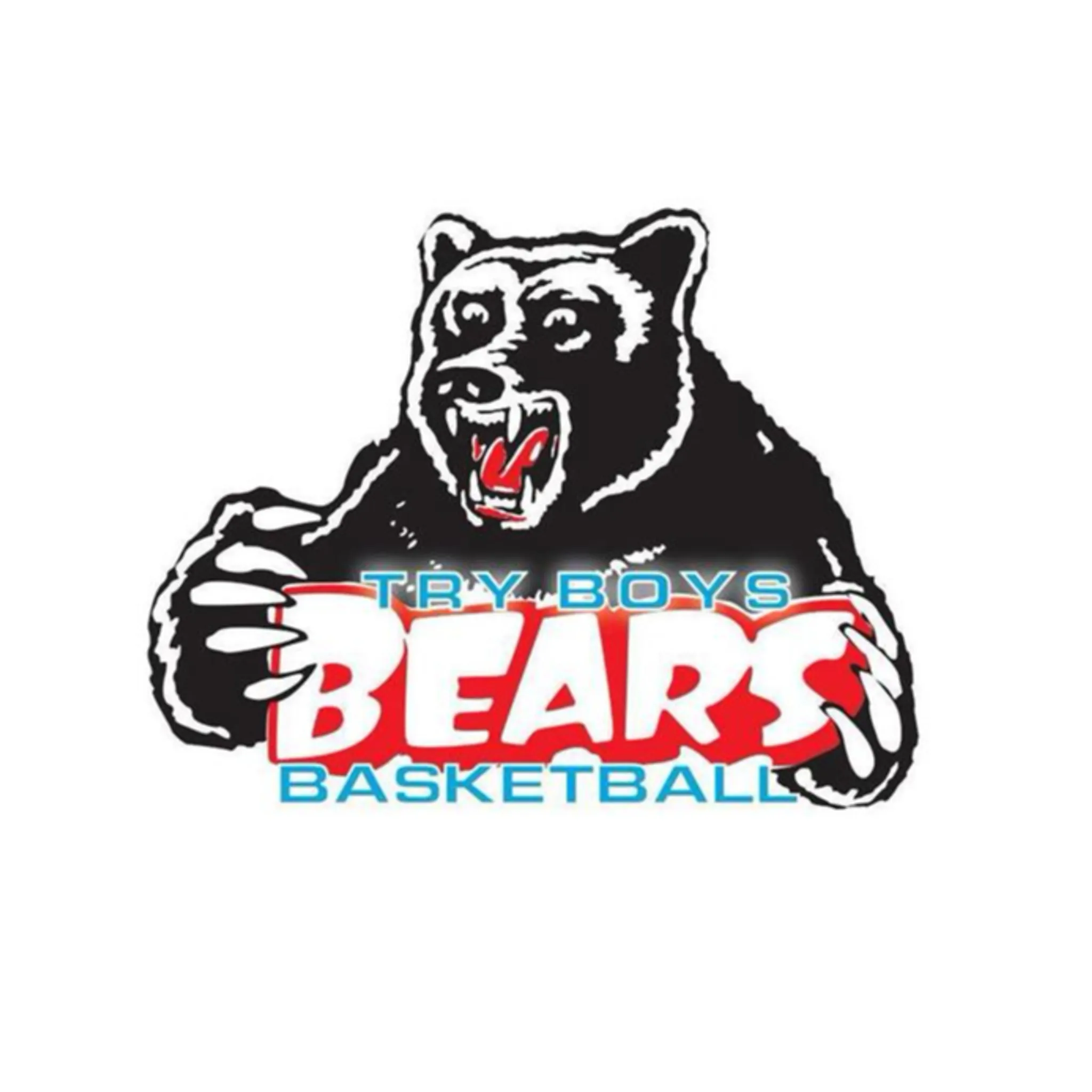 Try Boys Basketball Club