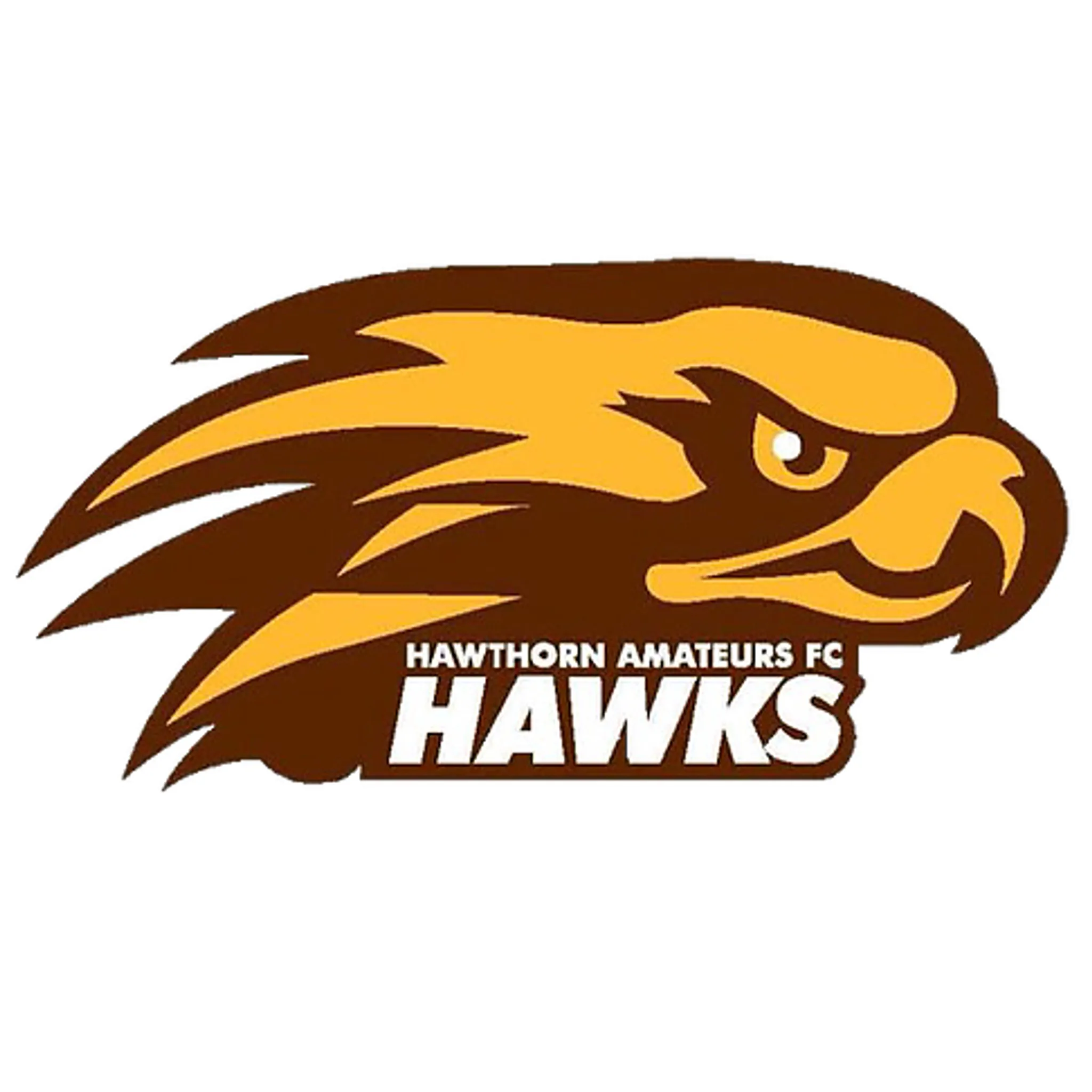 Hawthorn Amateur Football Club