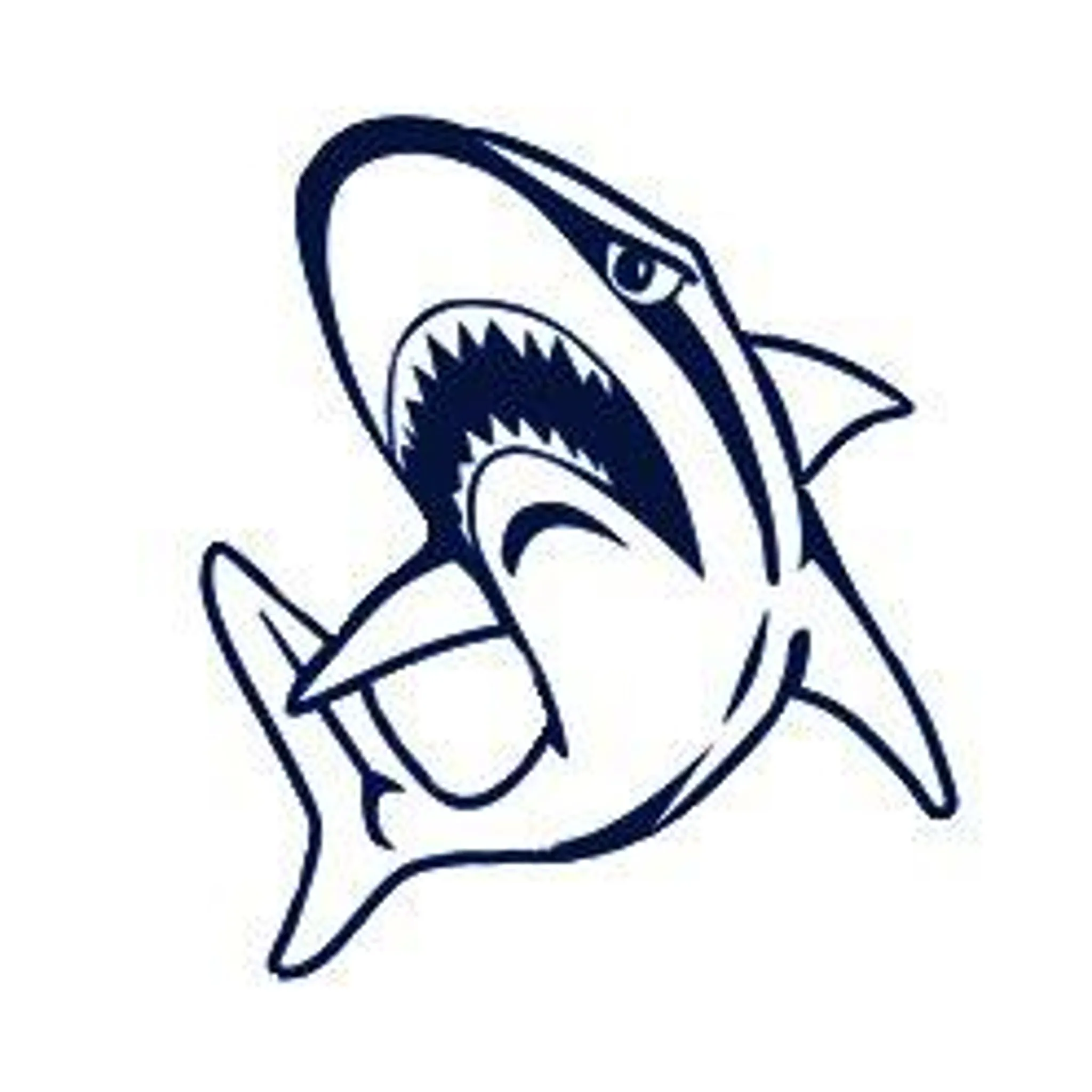 Henley Sharks Football Club