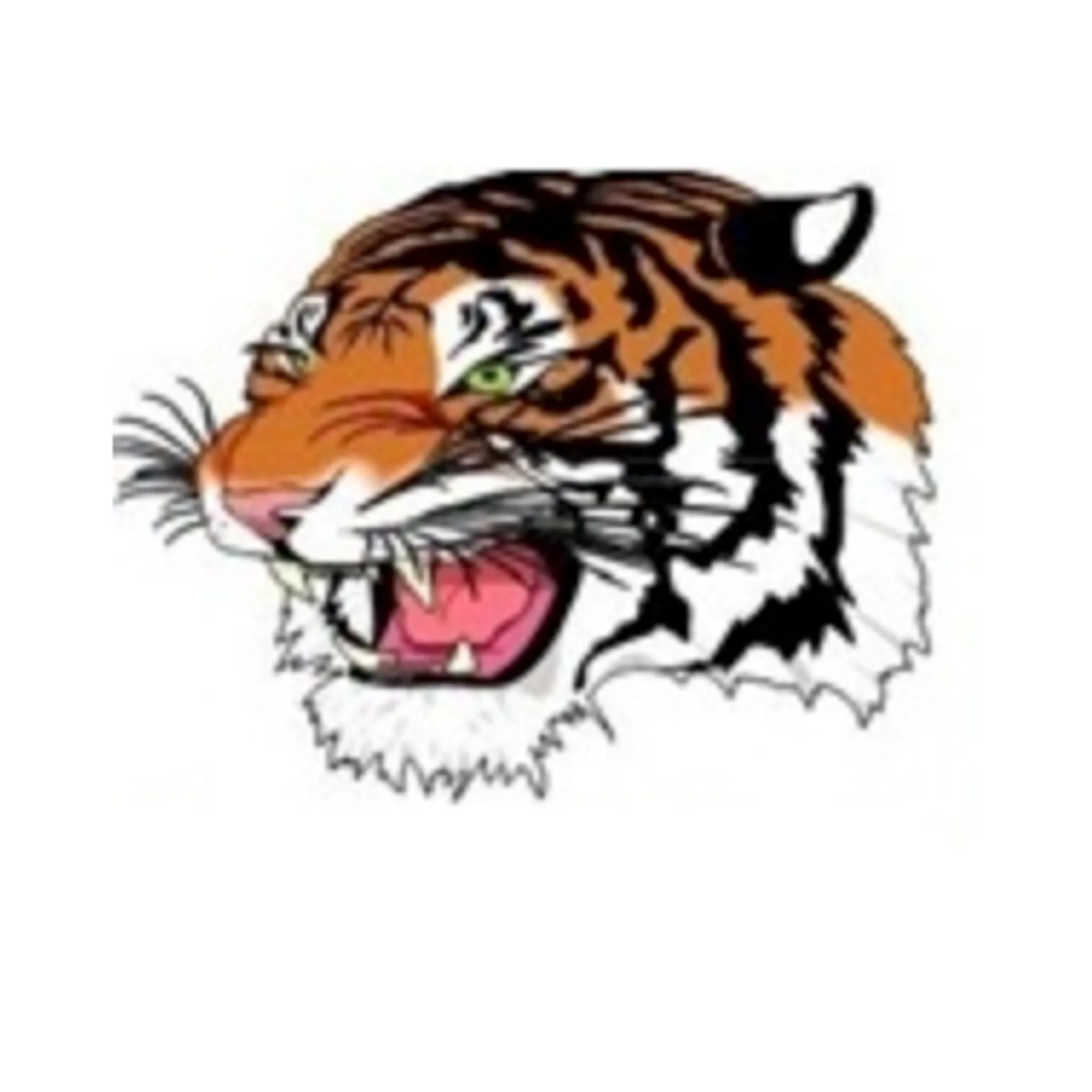 Eastern Suburbs Ipswich Hockey Club