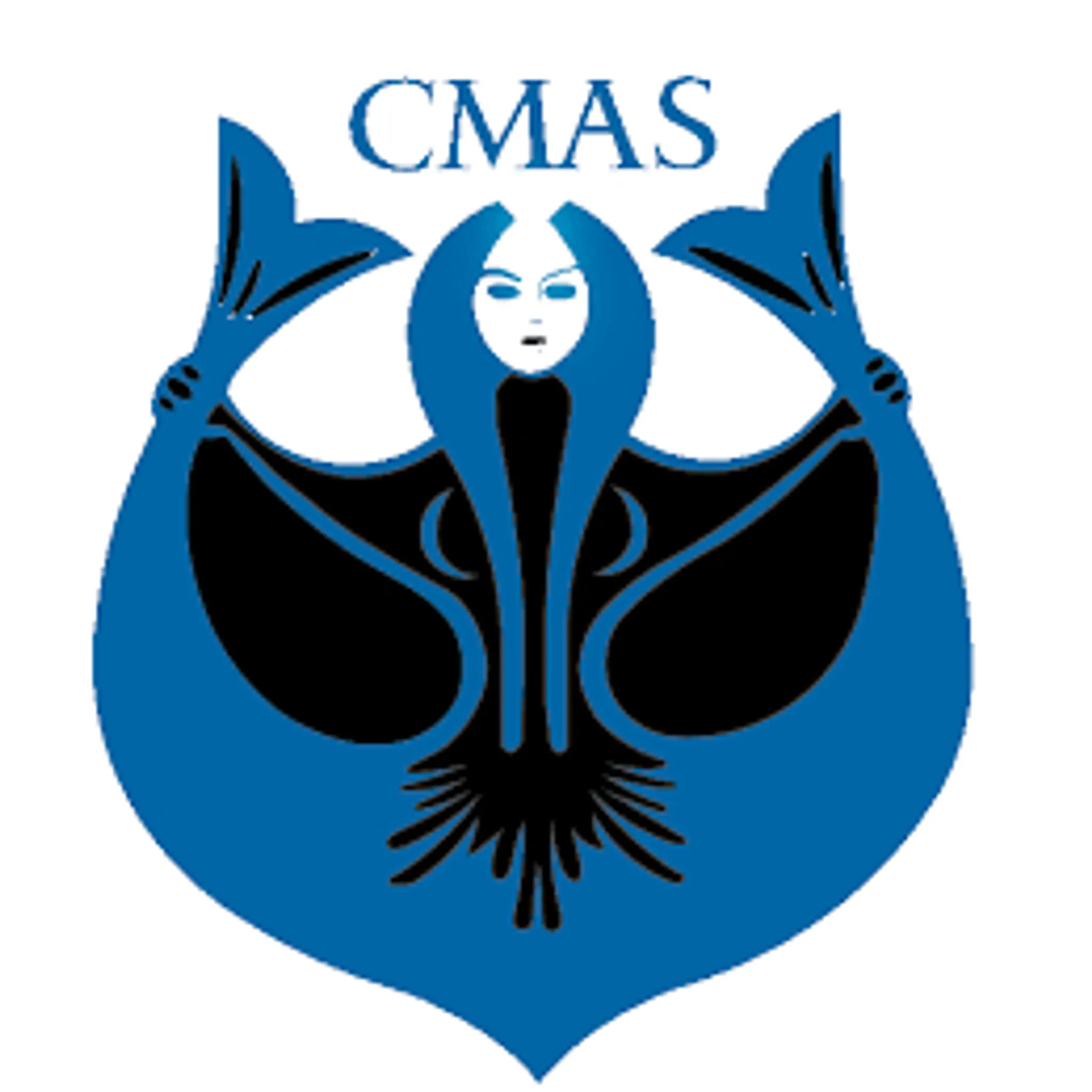 CMAS Underwater Hockey