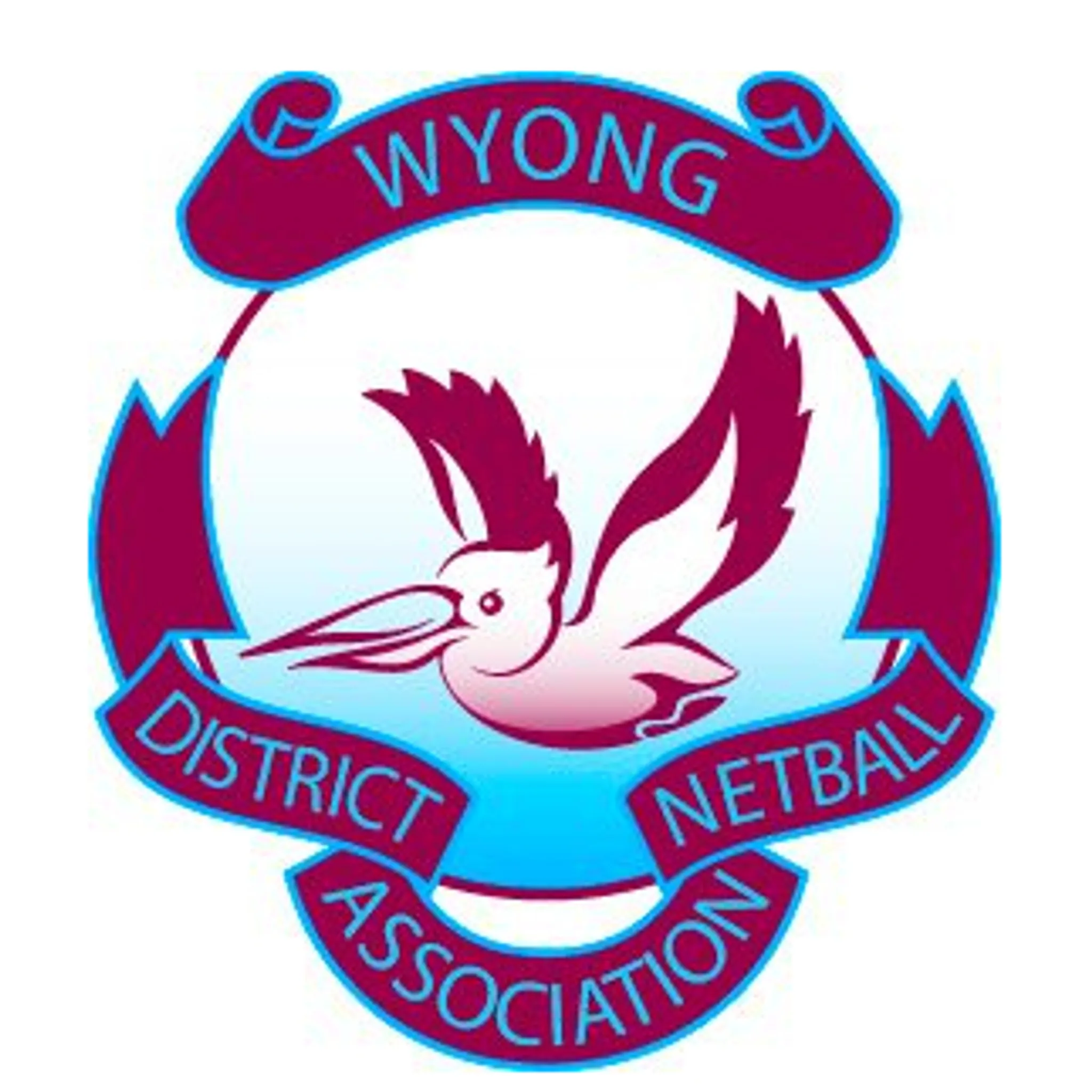 Kotahi United Netball Club