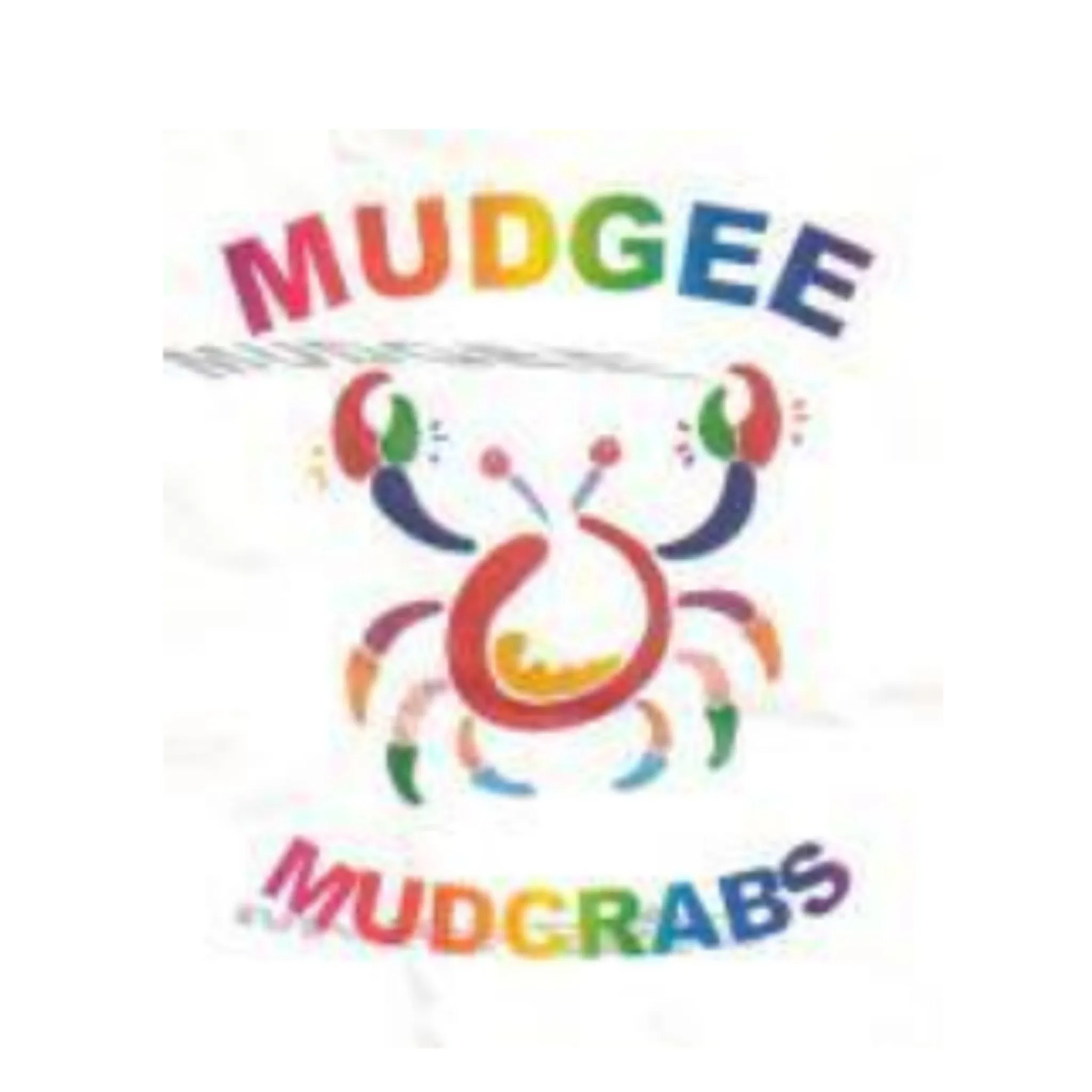 Mudgee Touch Association