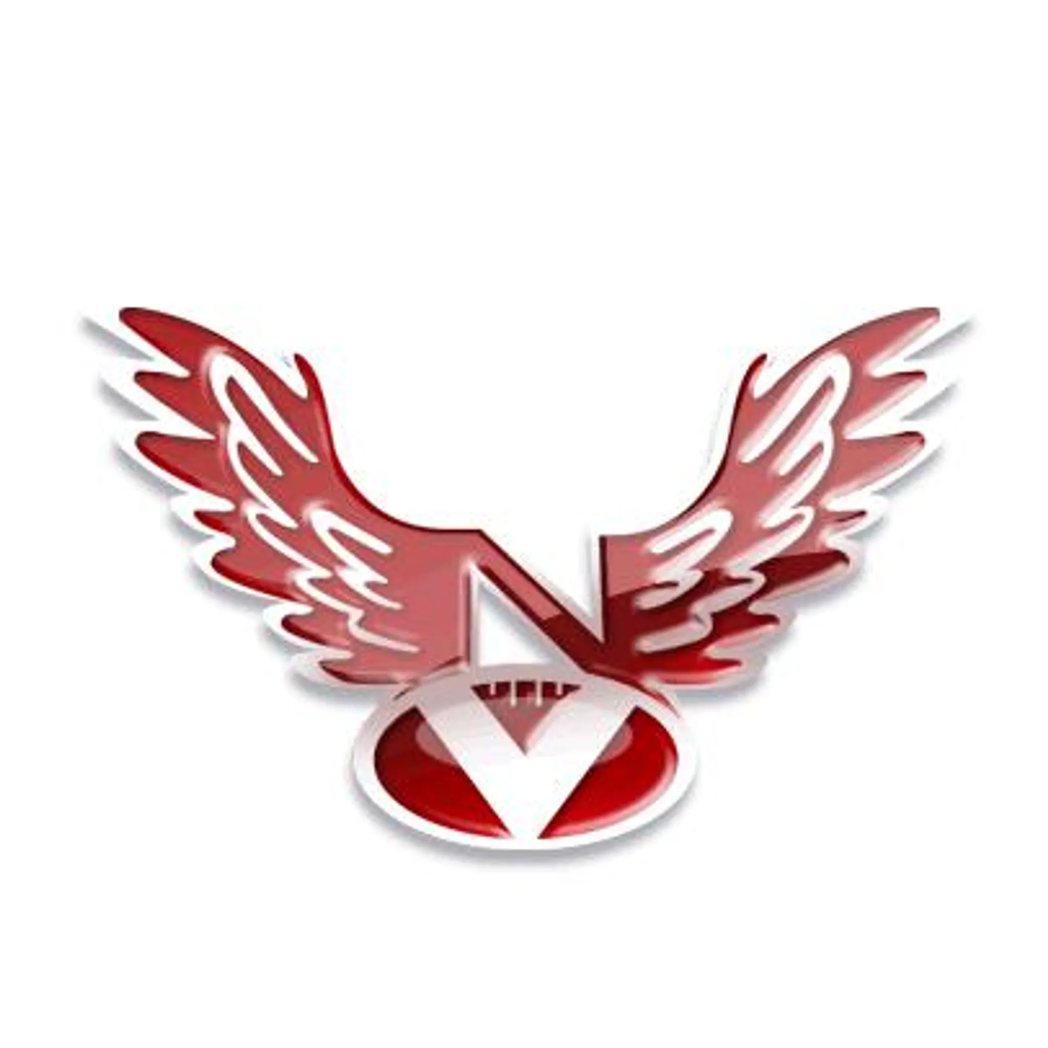 Newtown Junior Australian Rules Football Club