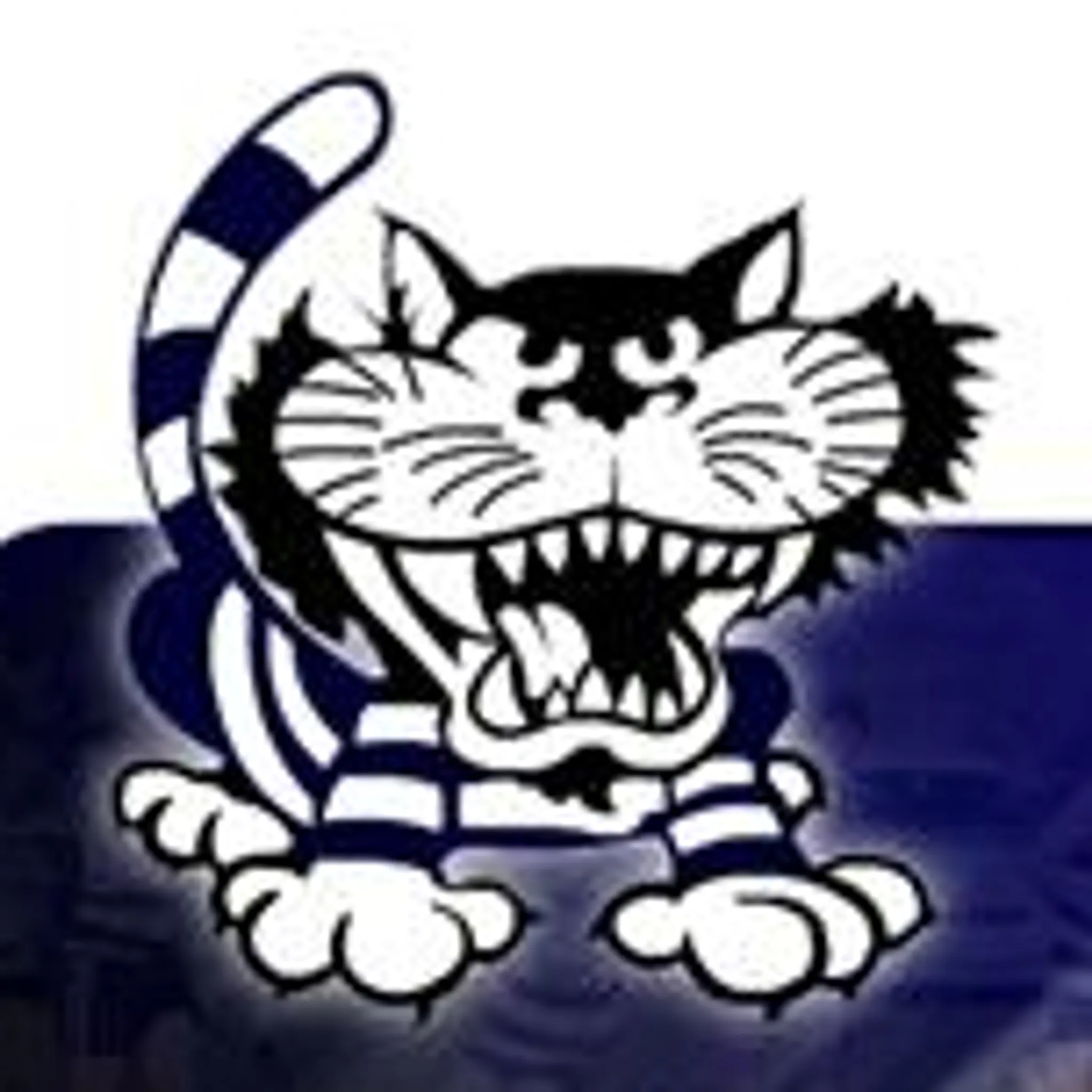 Newlyn Football Netball Club