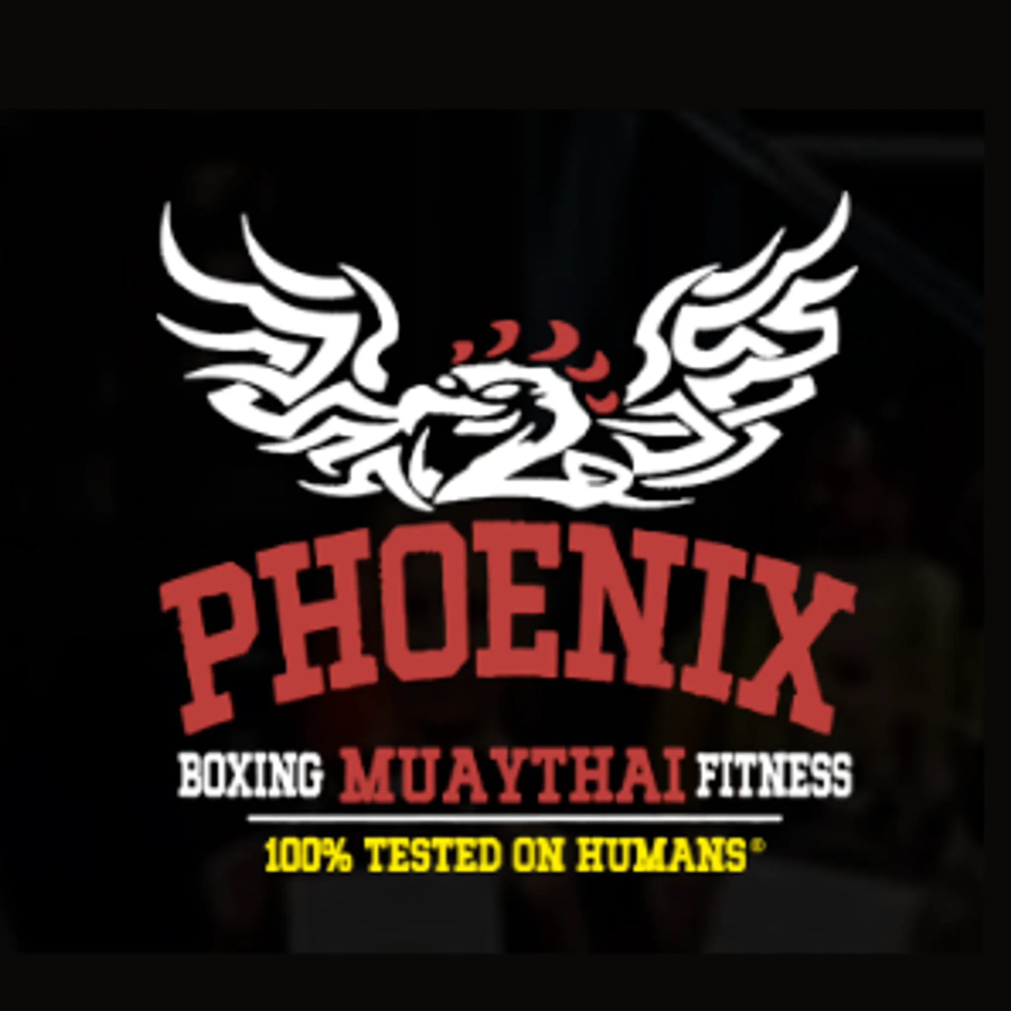Phoenix Muaythai